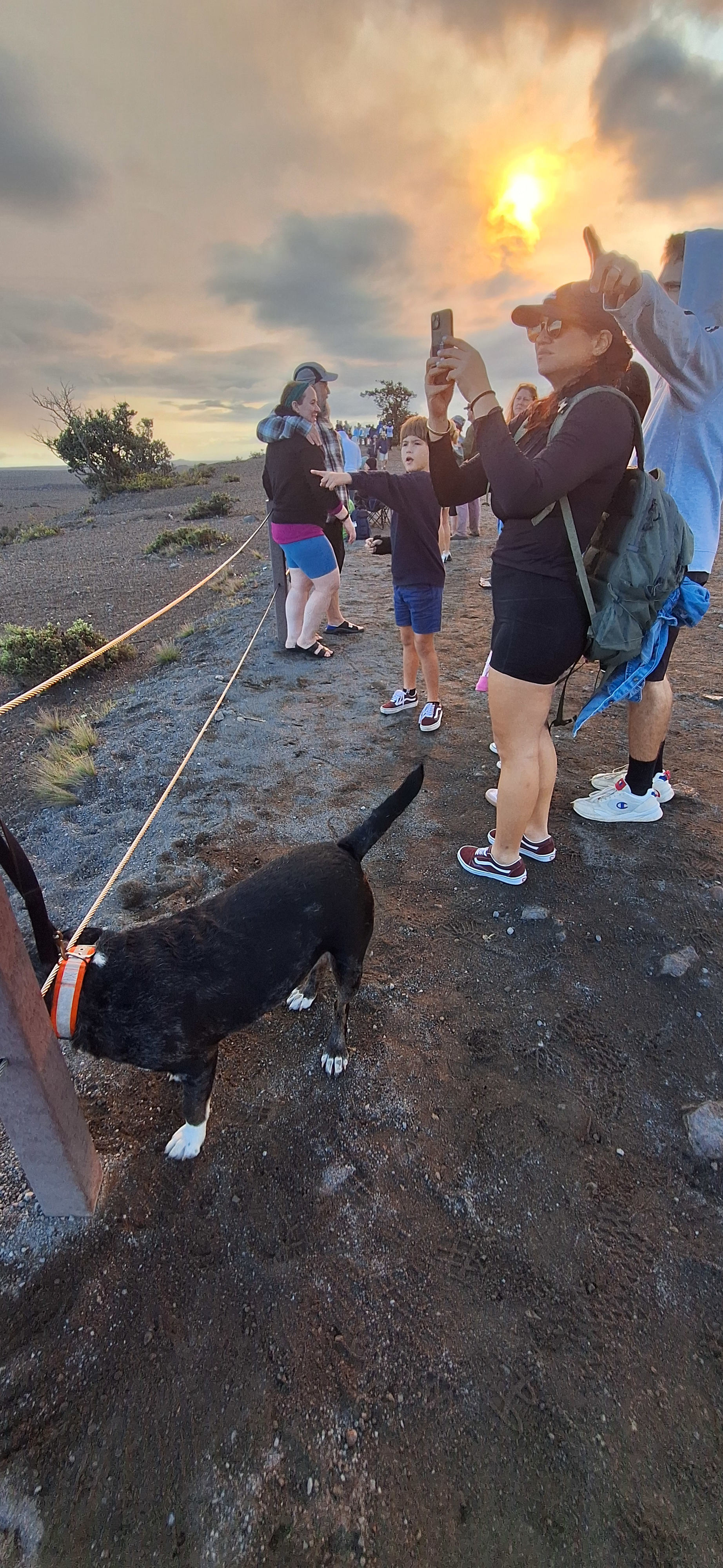 Rebel Rainforest Resort