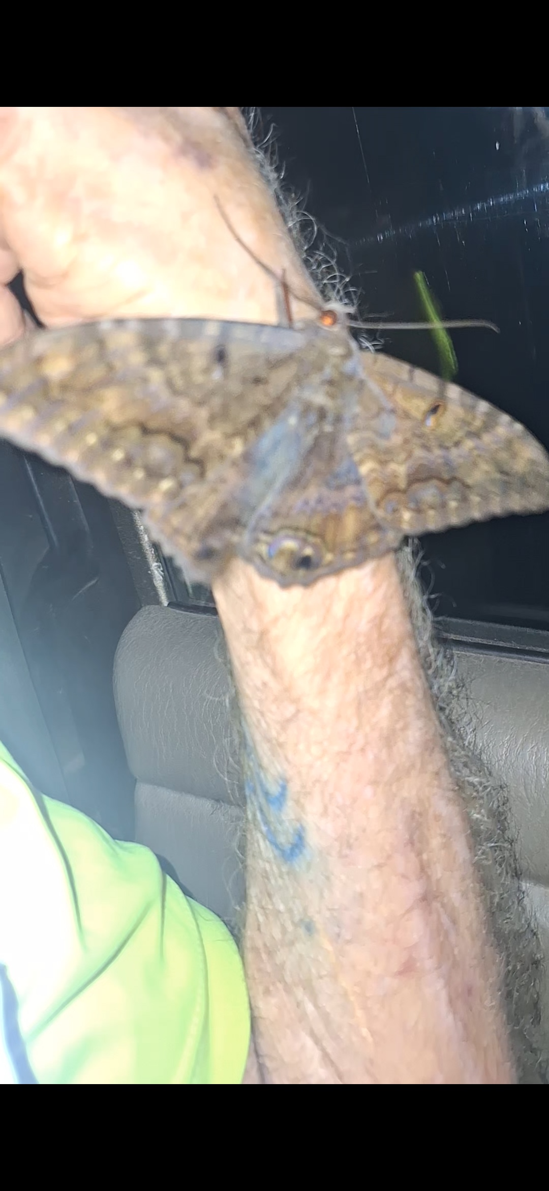 Rebel Rainforest Resort