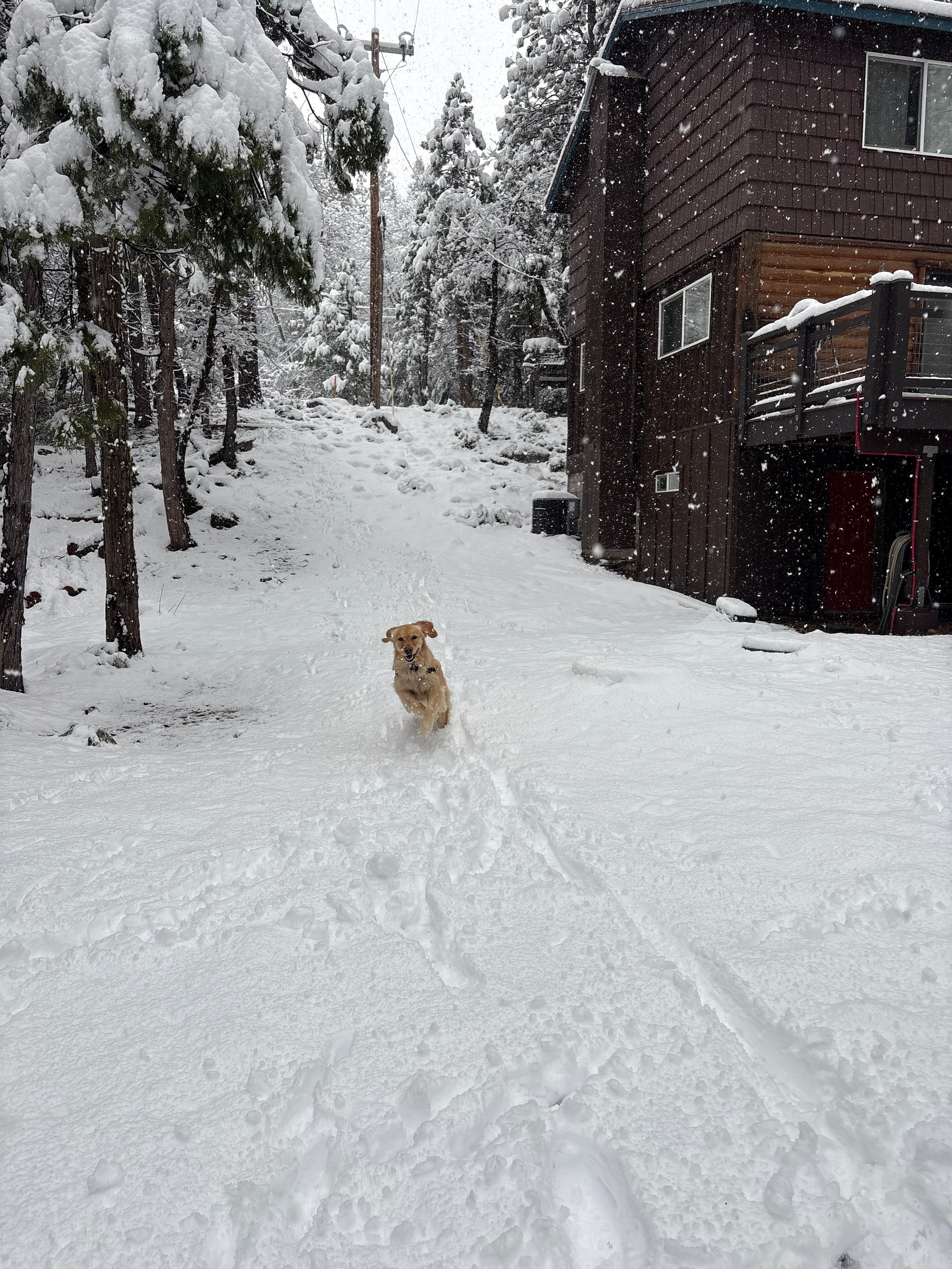 Magical Lost Sierra Bungalow!