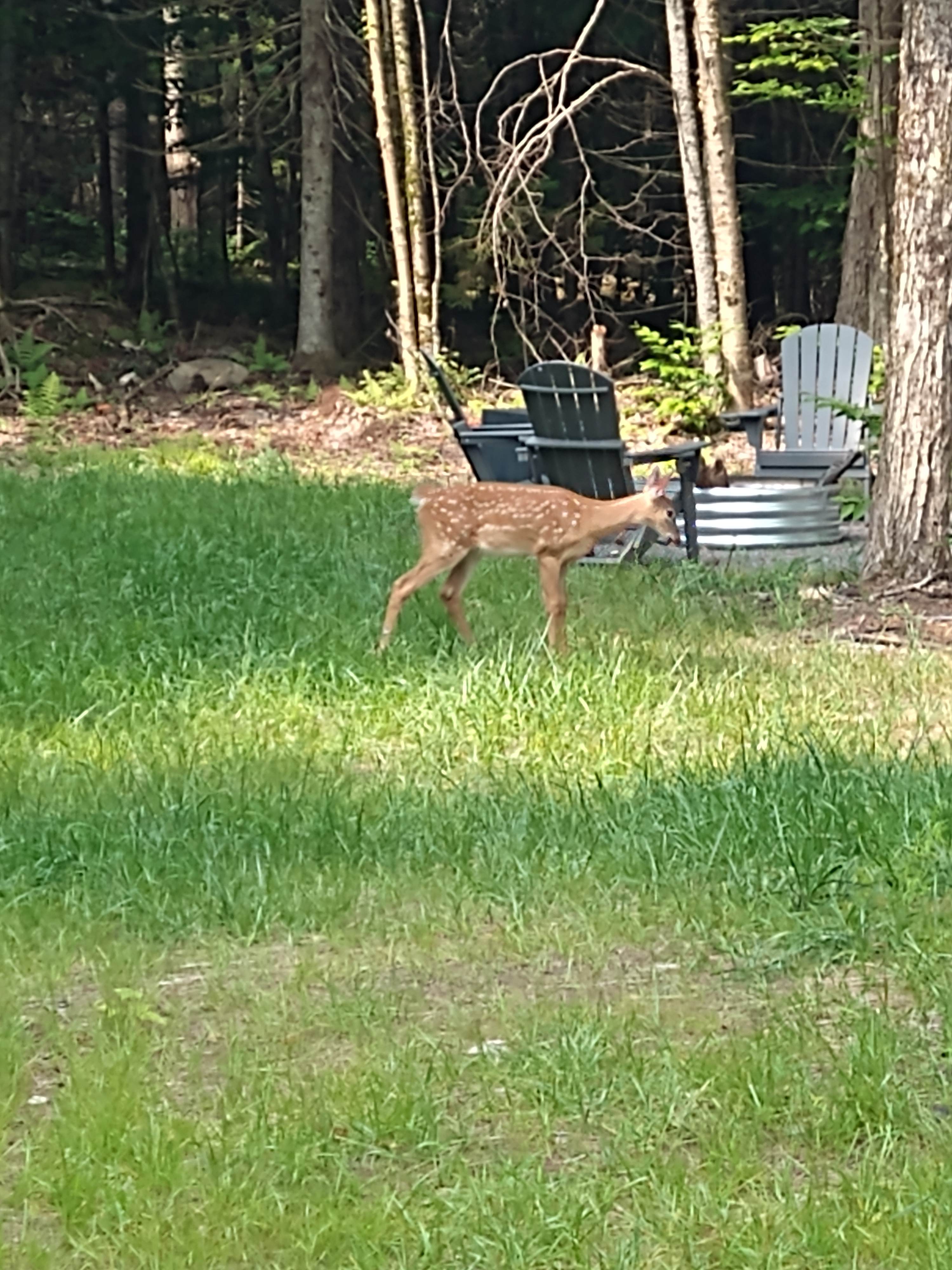 ADK Getaway