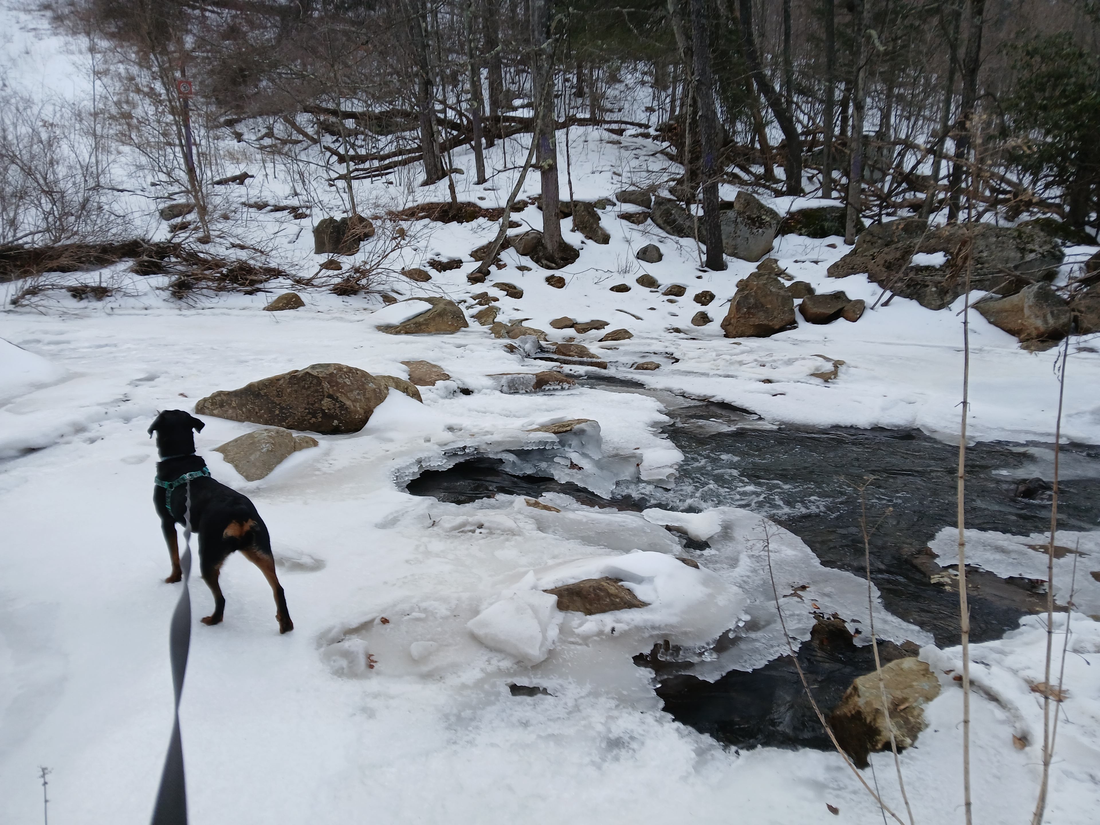 Abrams Creek Campground/Retreat