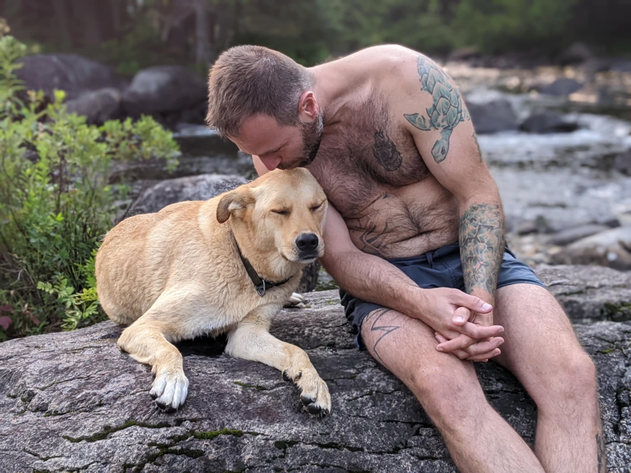 Chiens bienvenus! Dogs are welcome!