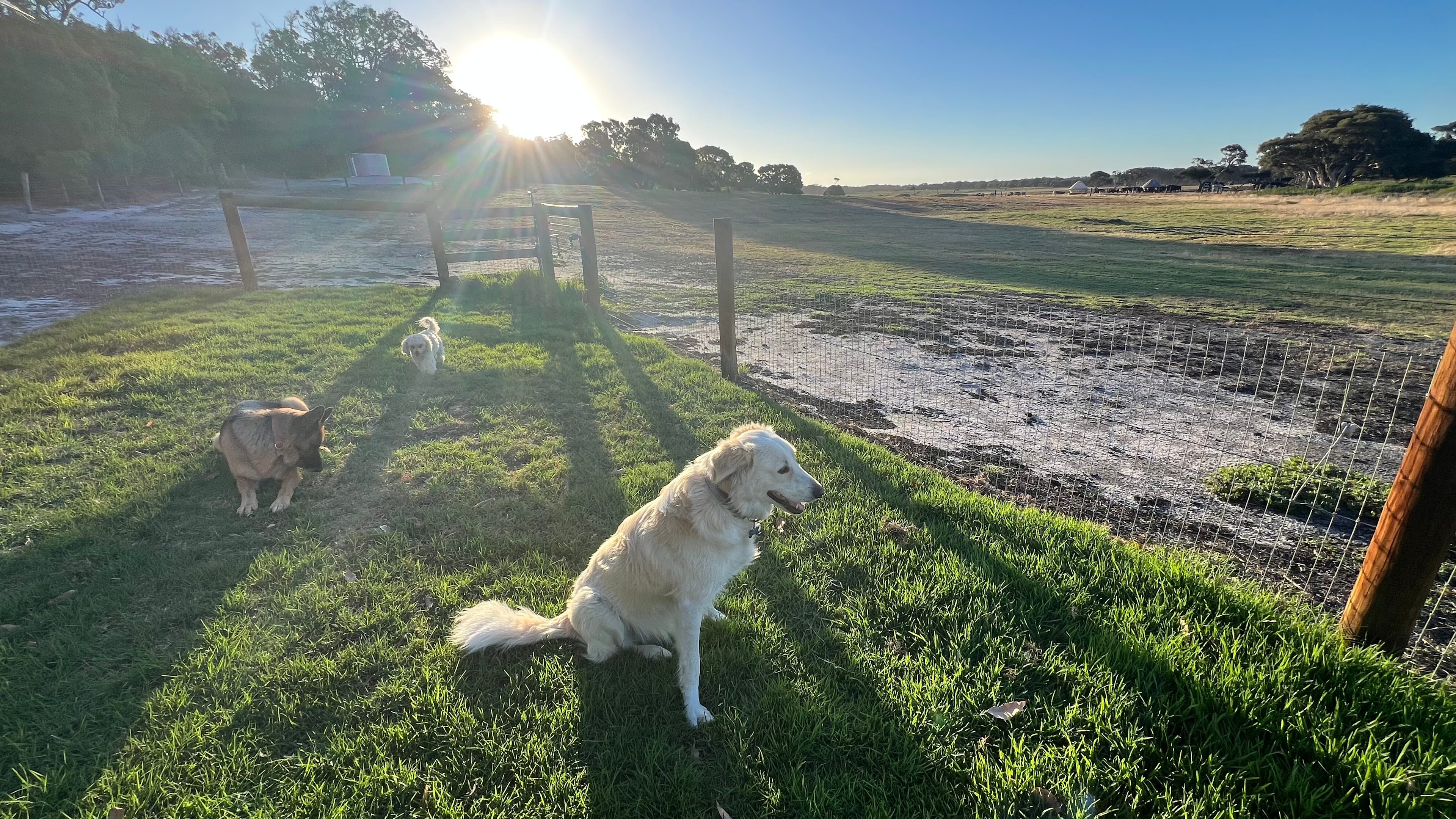 Dunmore Homestead Farmstay