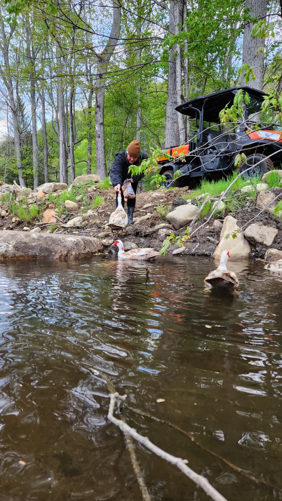 Camp Cruso: Mountains, River & Farm