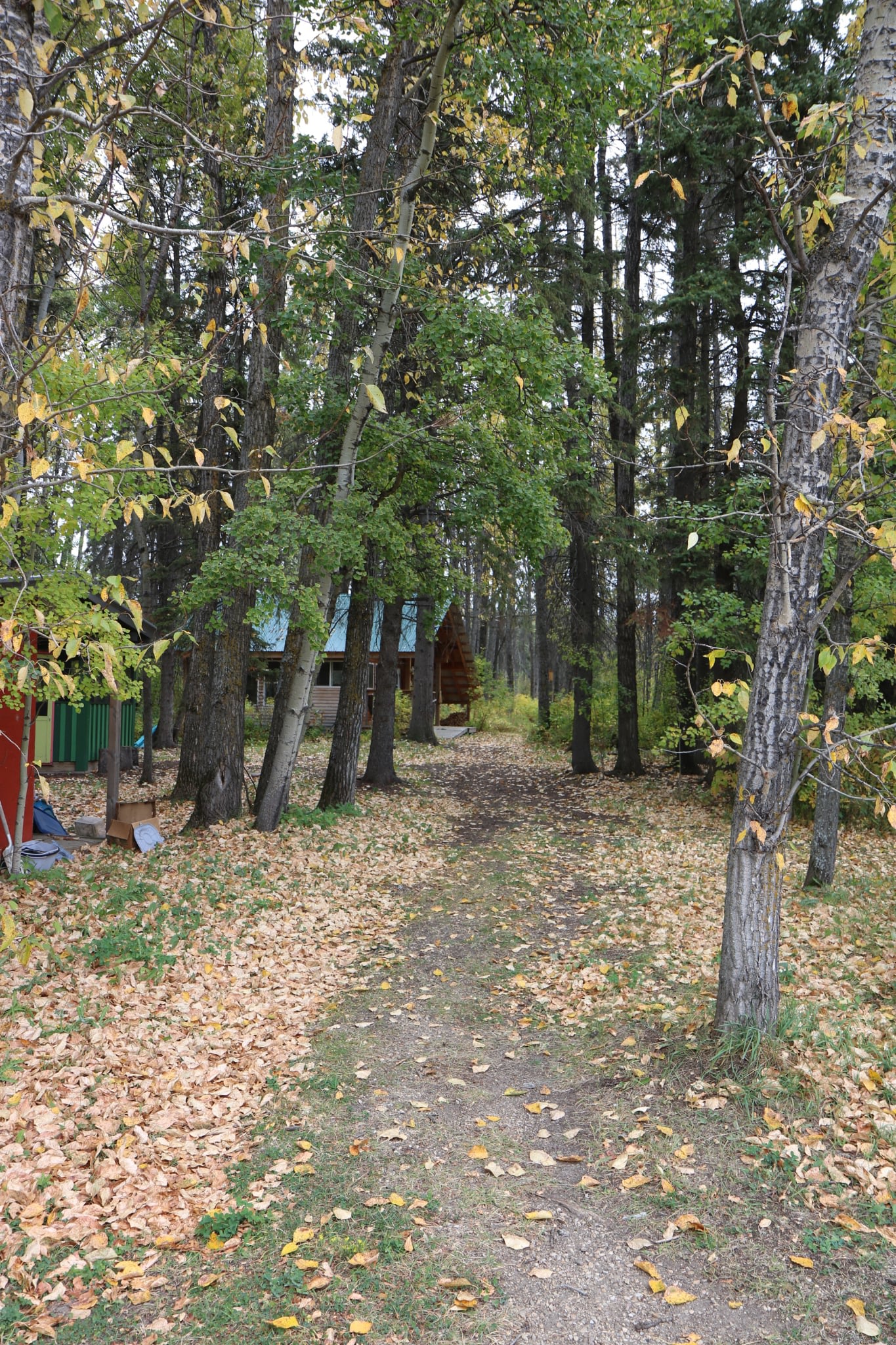 Forest Retreat Cabins & Camping