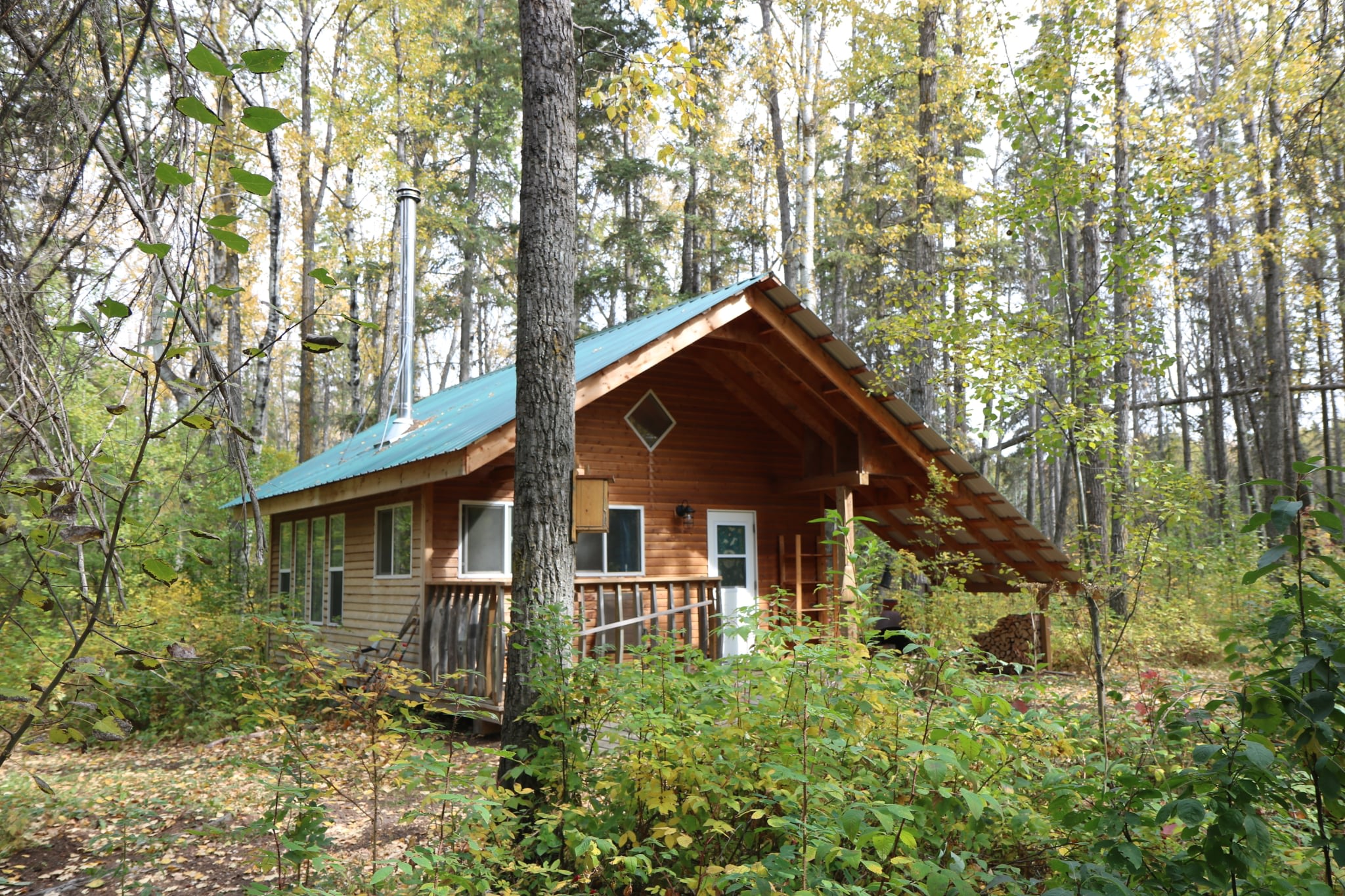 Forest Retreat Cabins & Camping