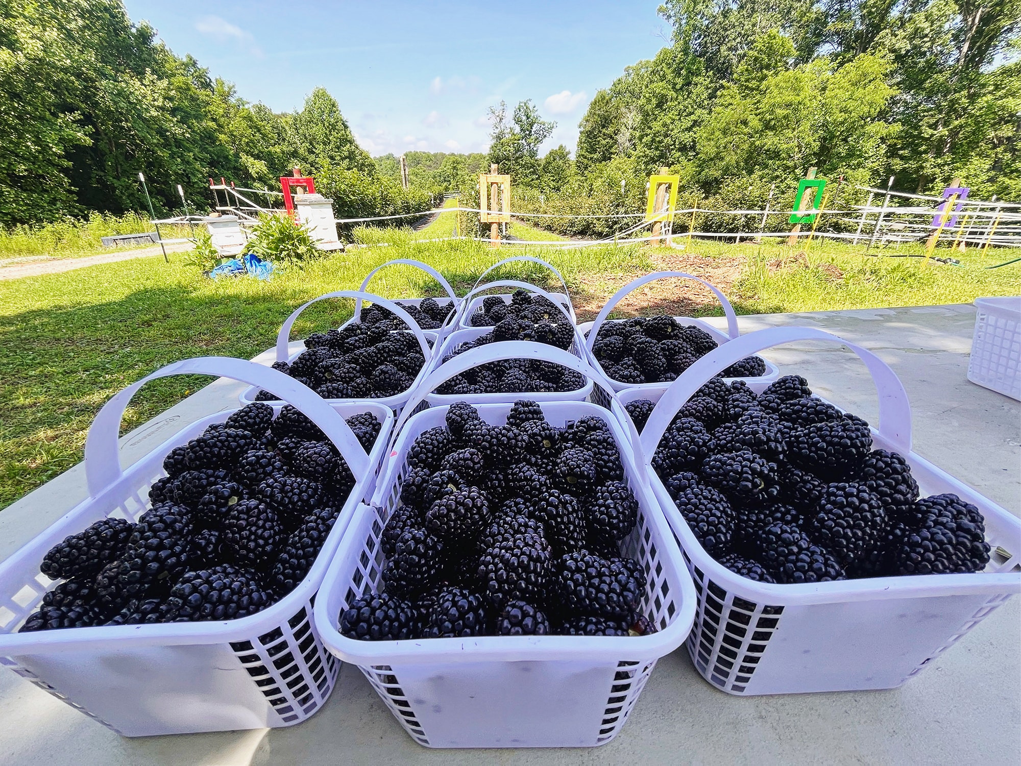 Easy Bend River Farms