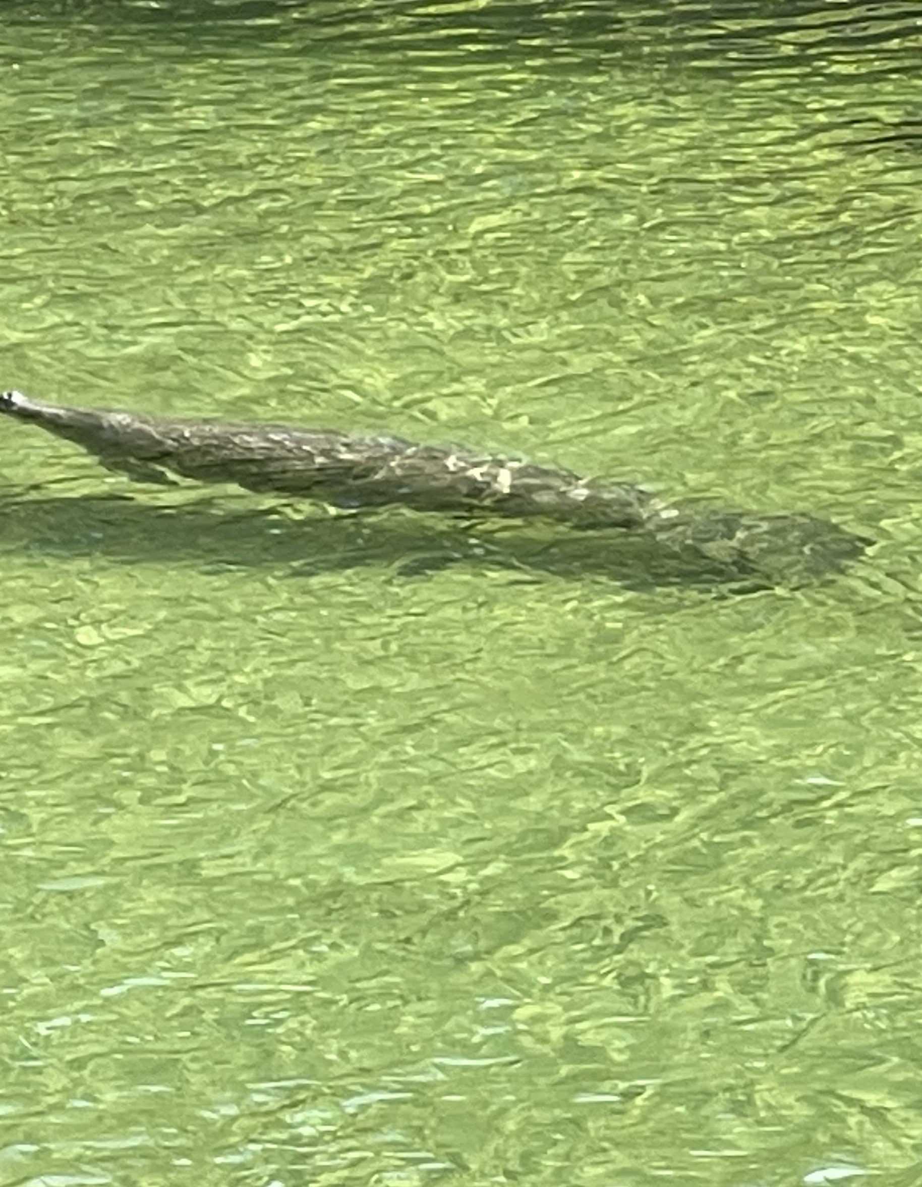 Private Waterfront FHU RV Spot