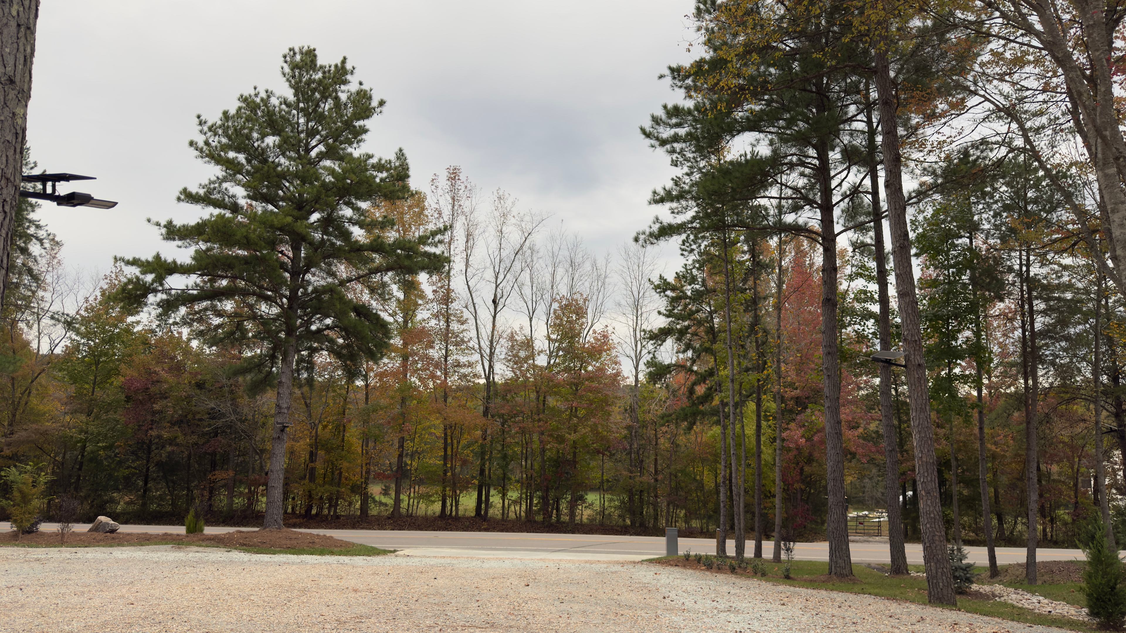 Adullam Stays - RV Sites + Suites