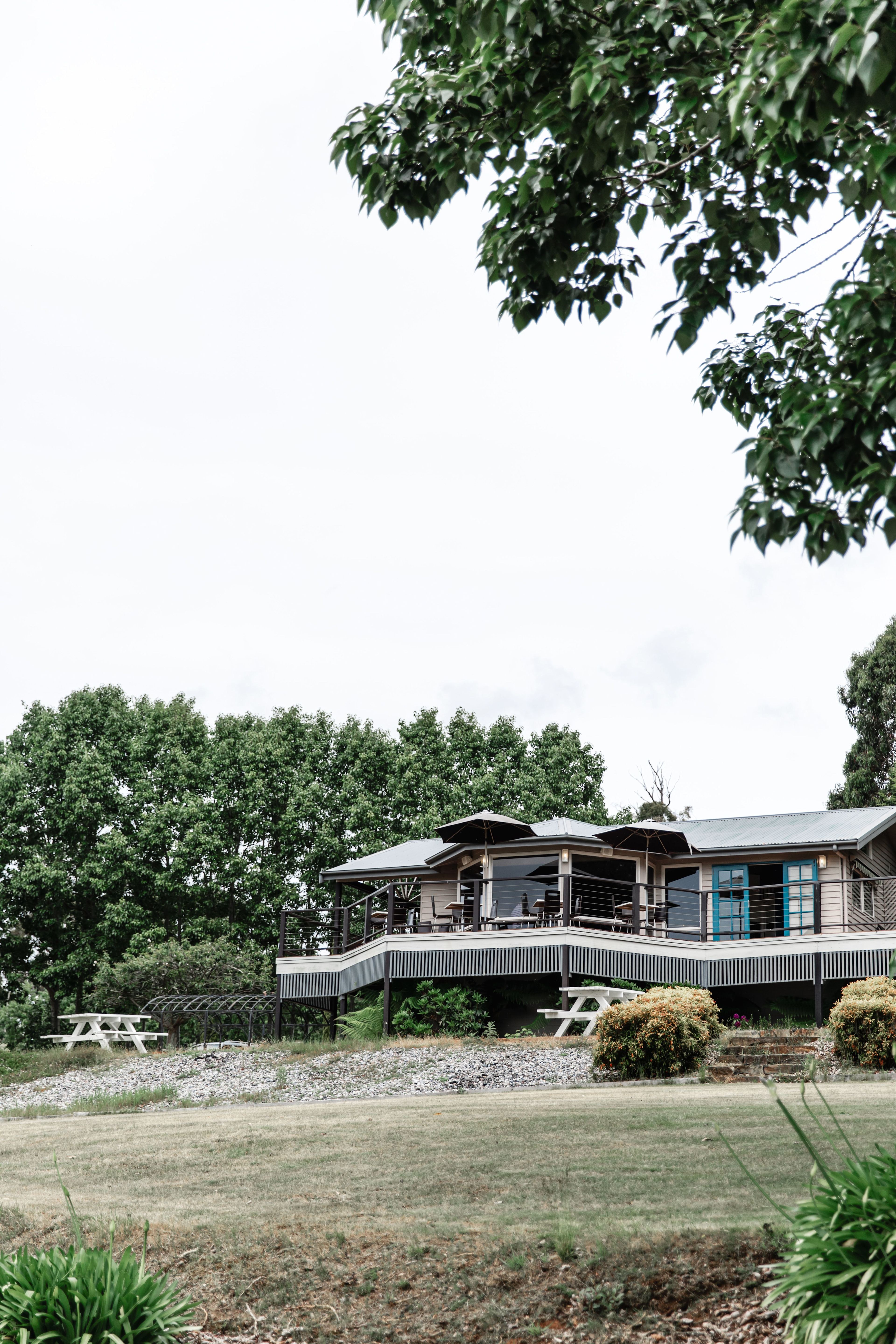 House of Hargrave Vineyard