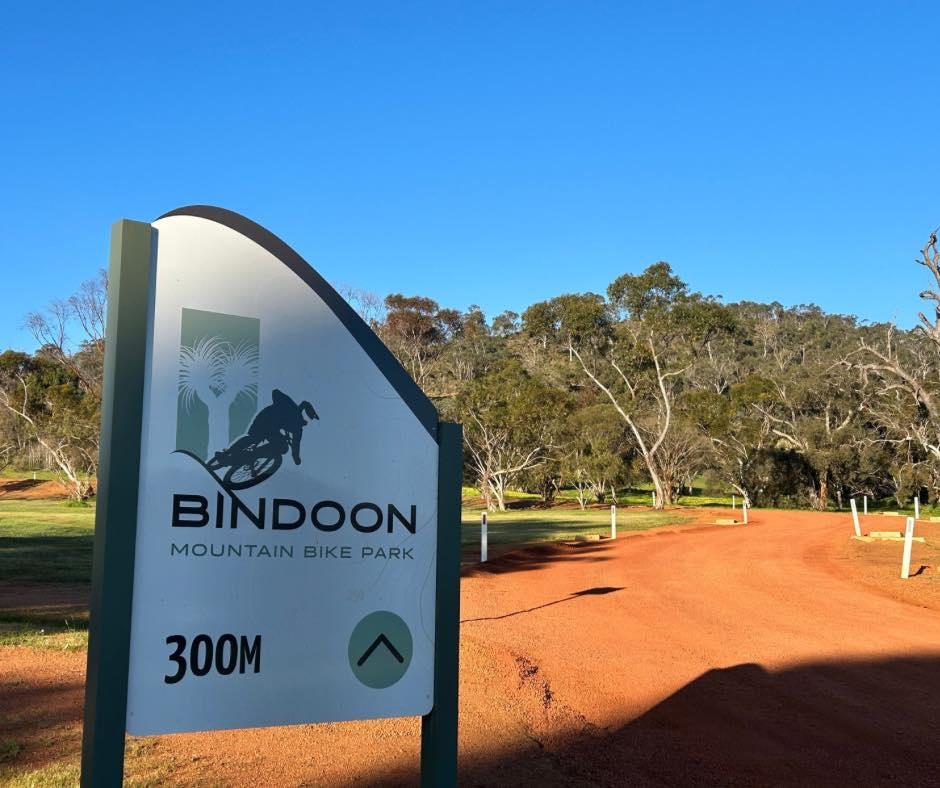 Evergreen Bush Stayz