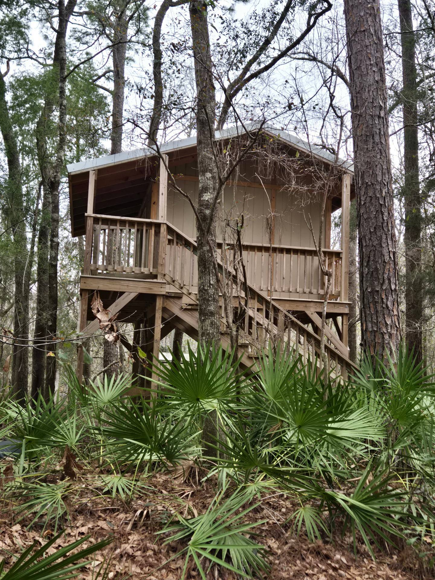 Perdido River Camping Cabin