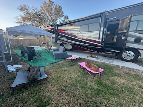 Brainy And Footsy Beach Pad