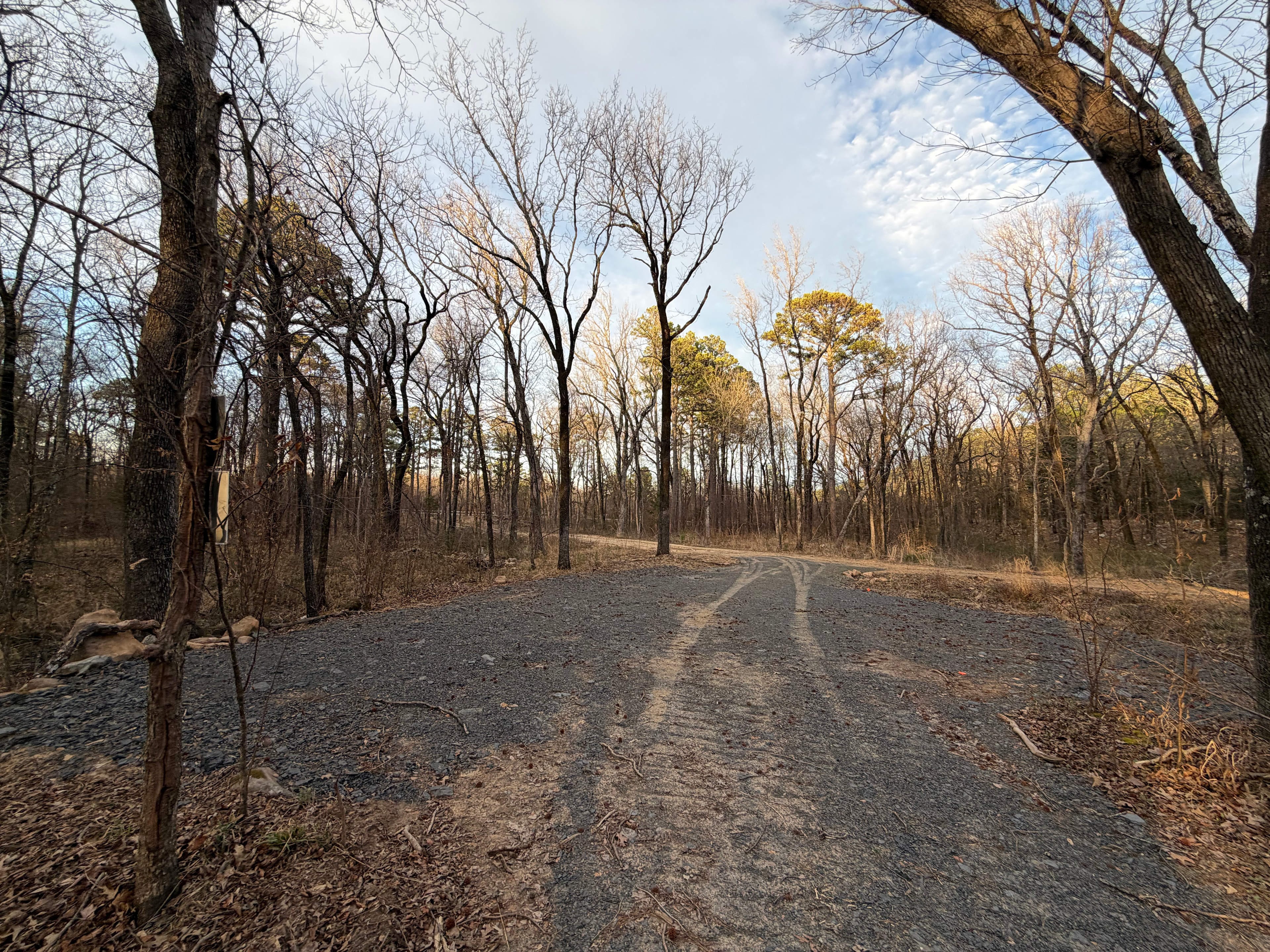 Ferngully Campground and Retreat