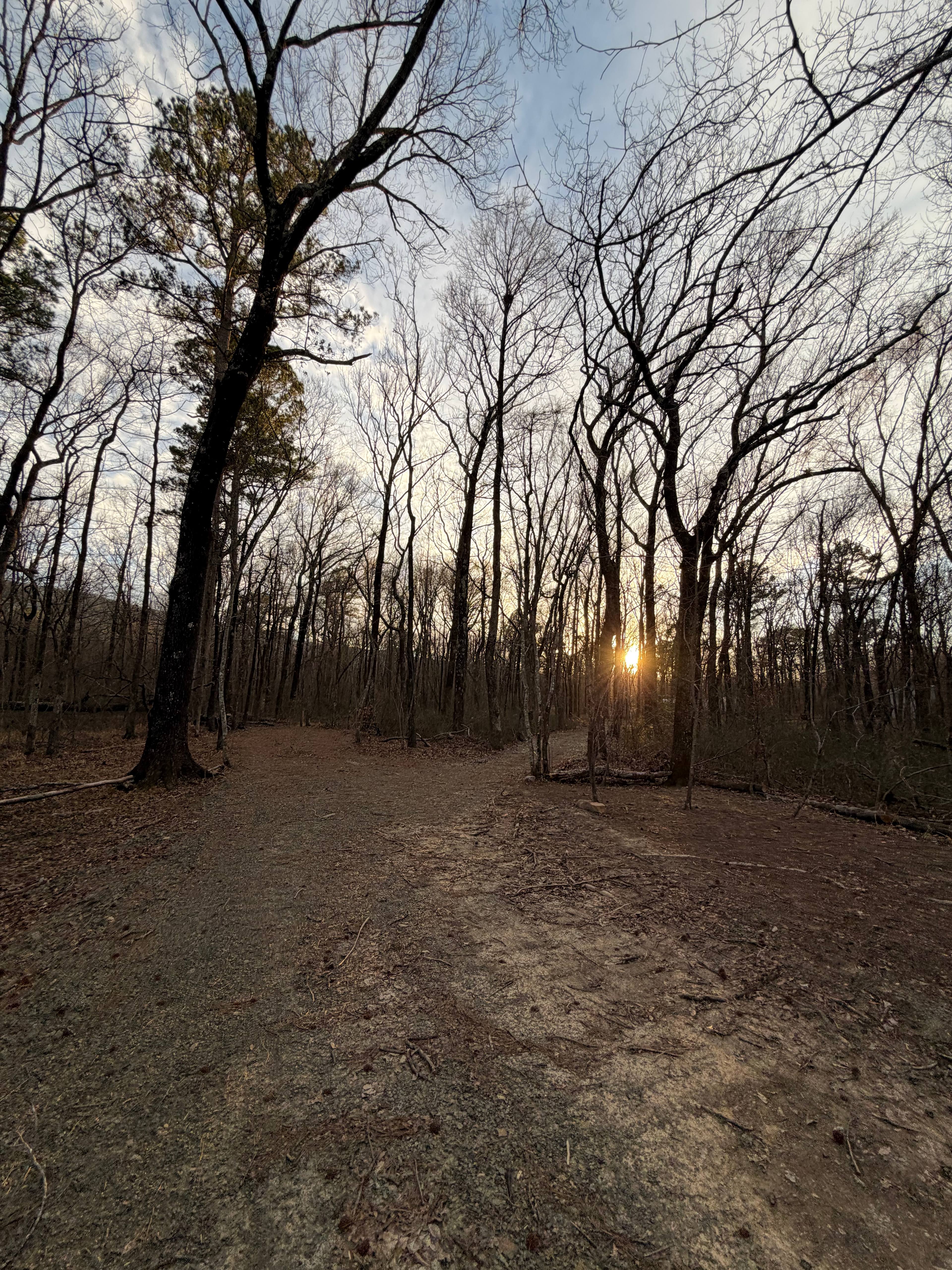 Ferngully Campground and Retreat