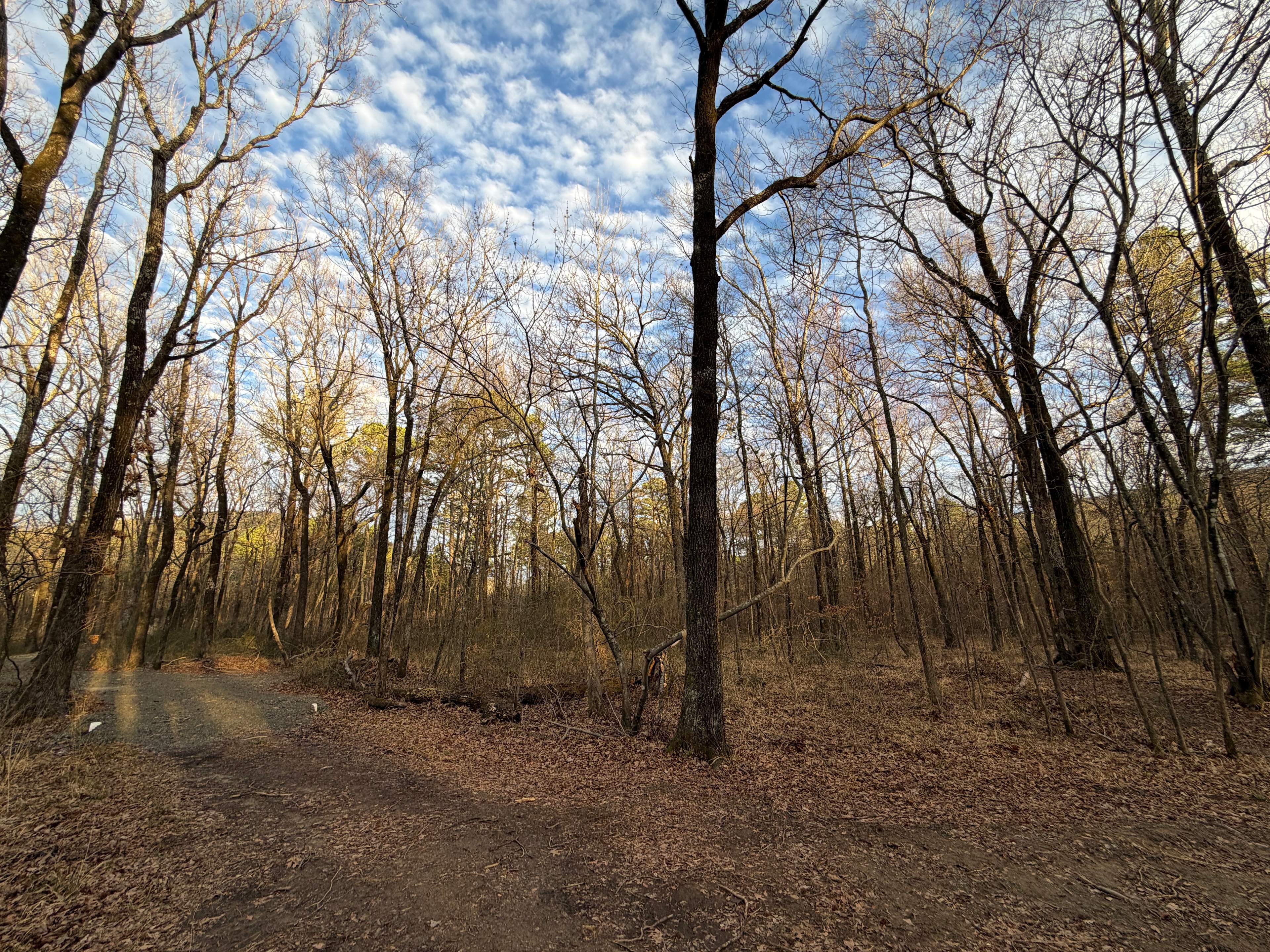 Ferngully Campground and Retreat