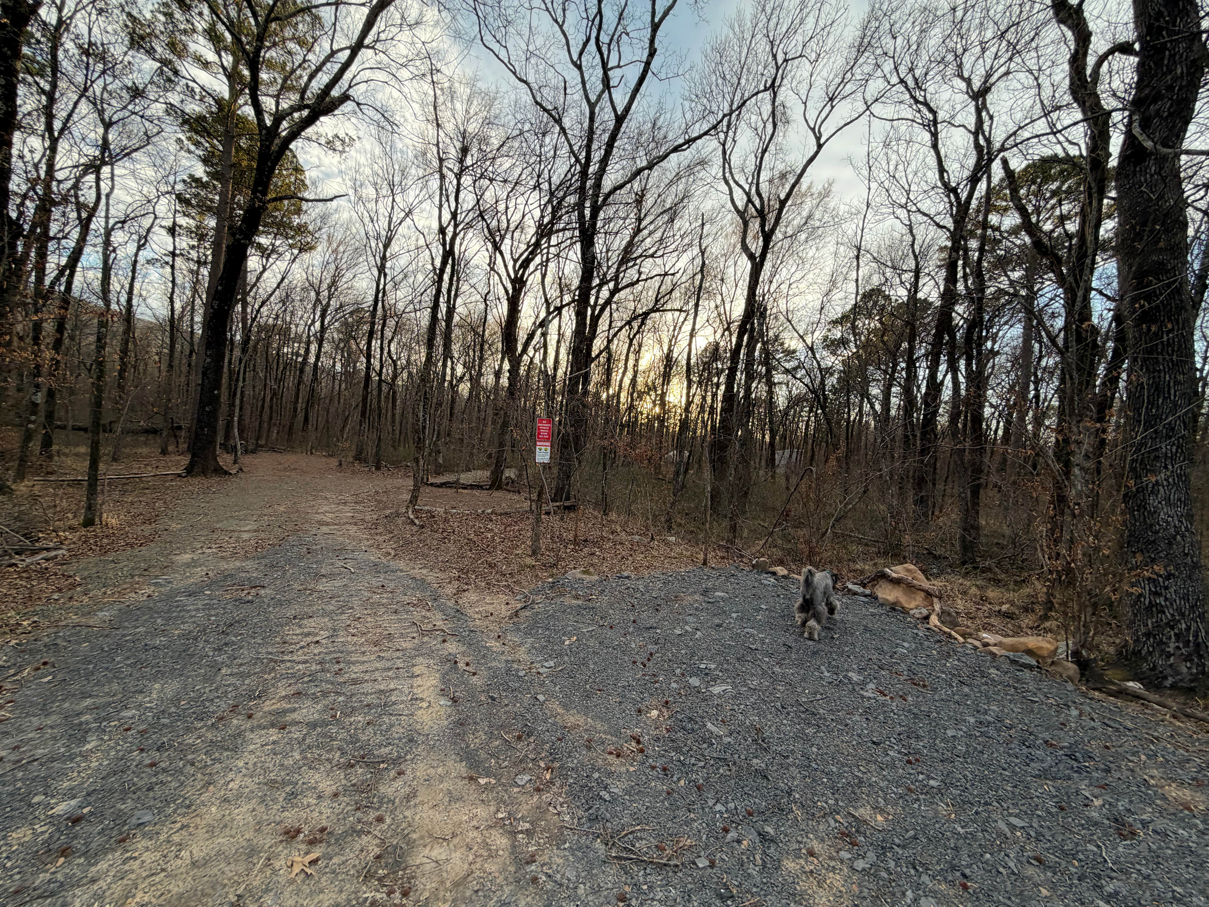 Ferngully Campground and Retreat