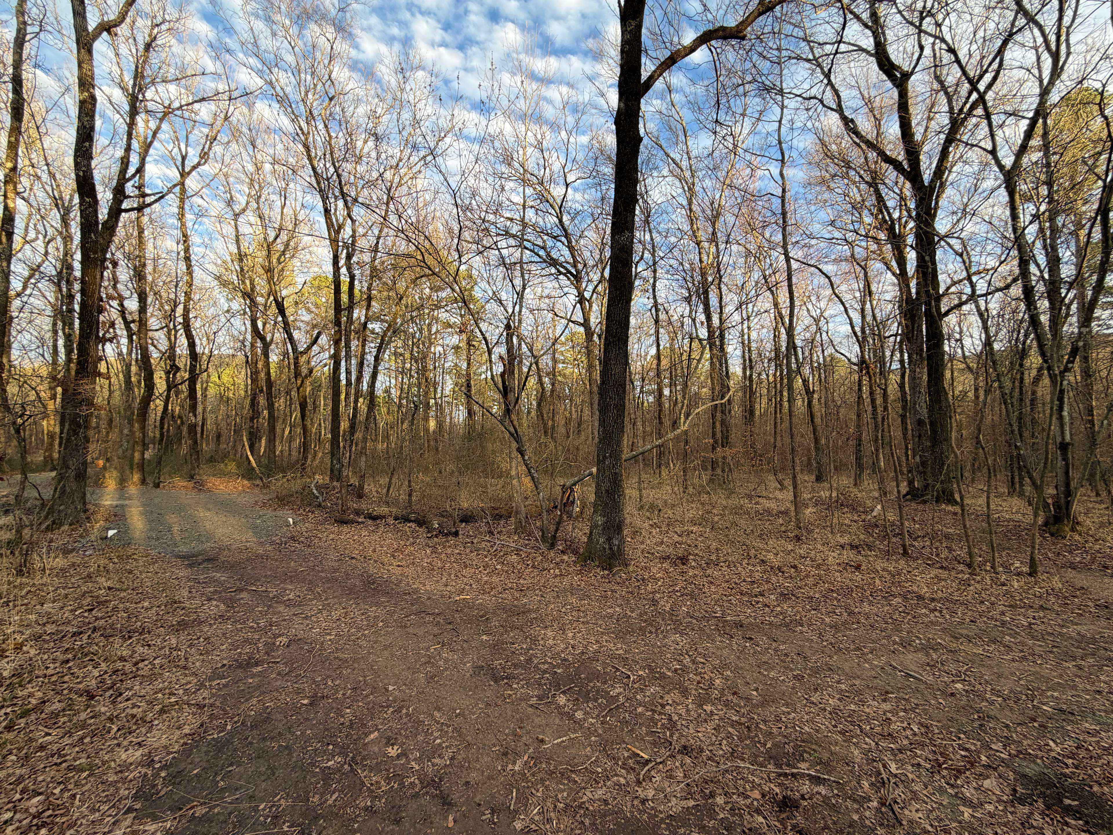 Ferngully Campground and Retreat