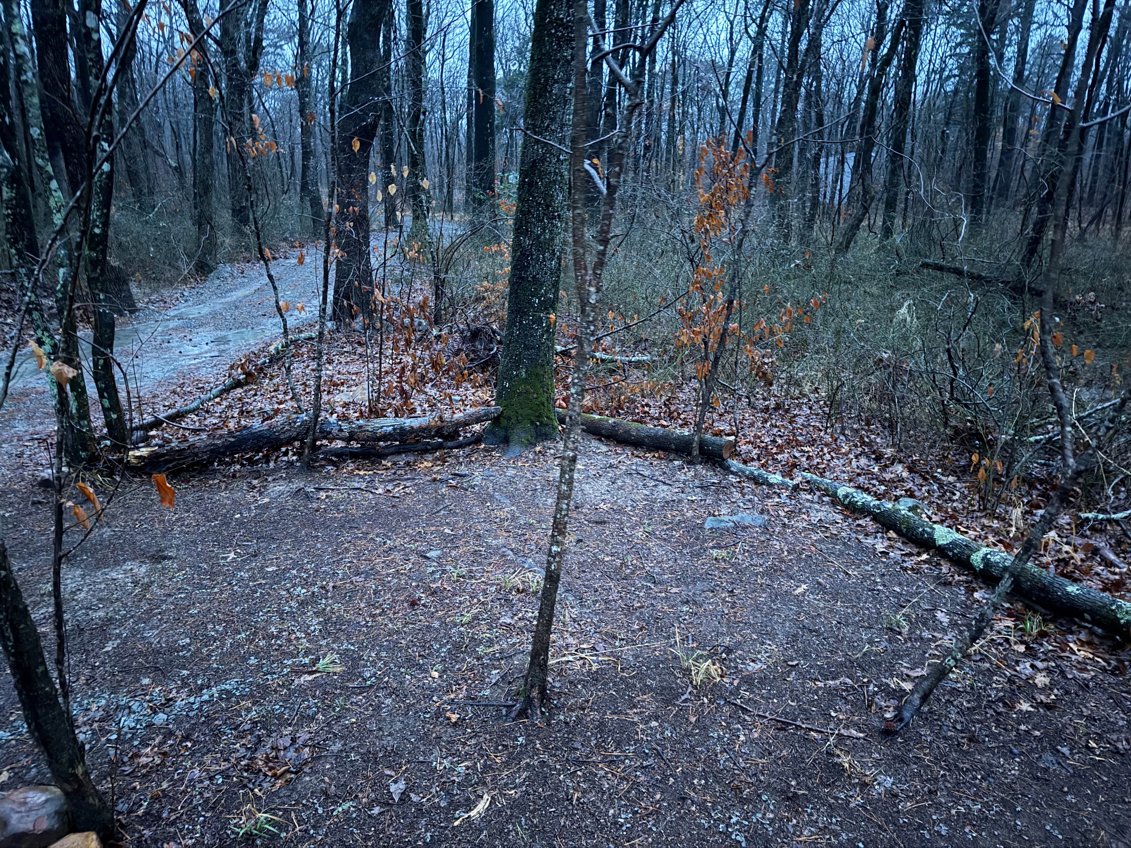 Ferngully Campground and Retreat
