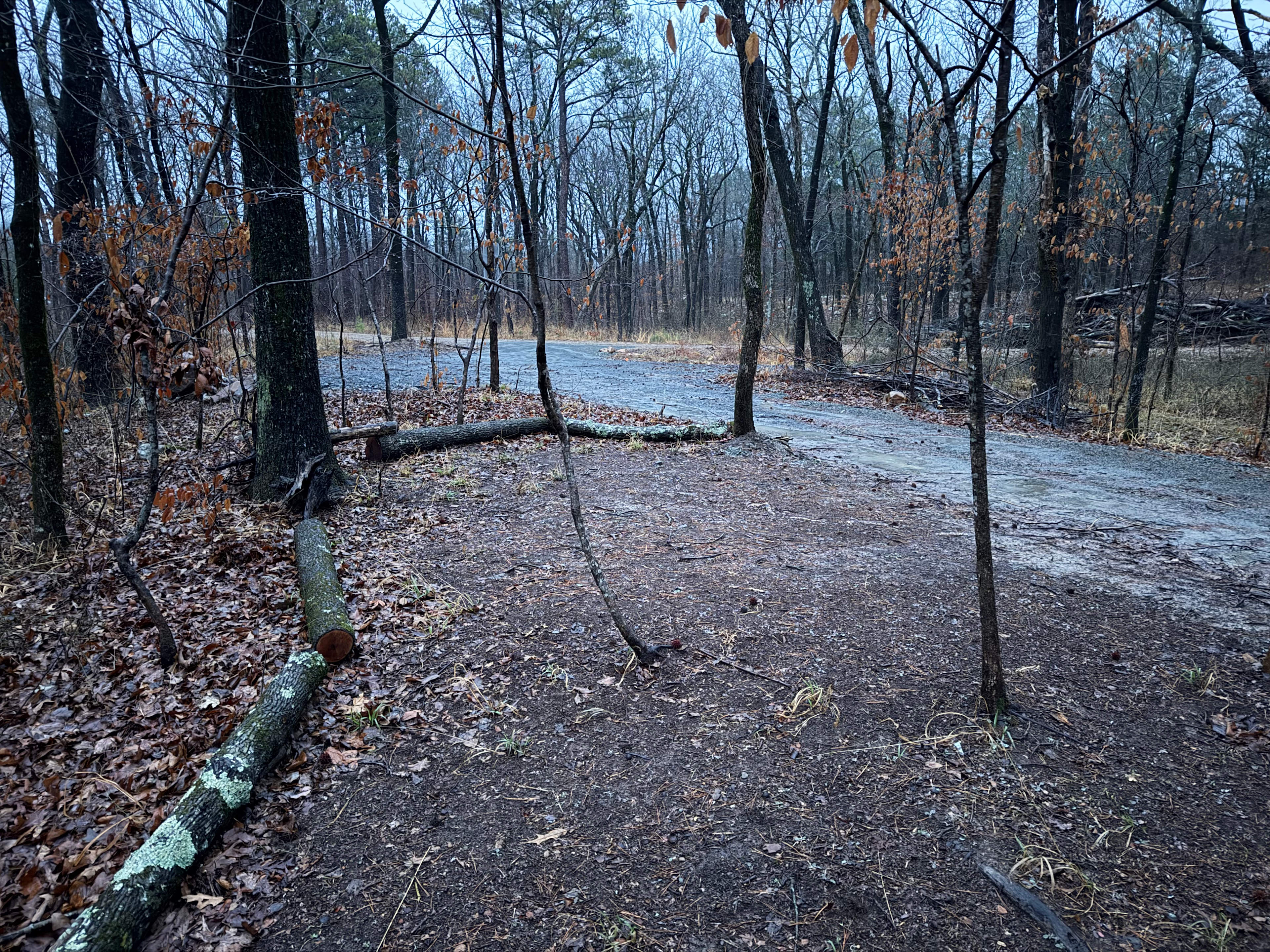 Ferngully Campground and Retreat
