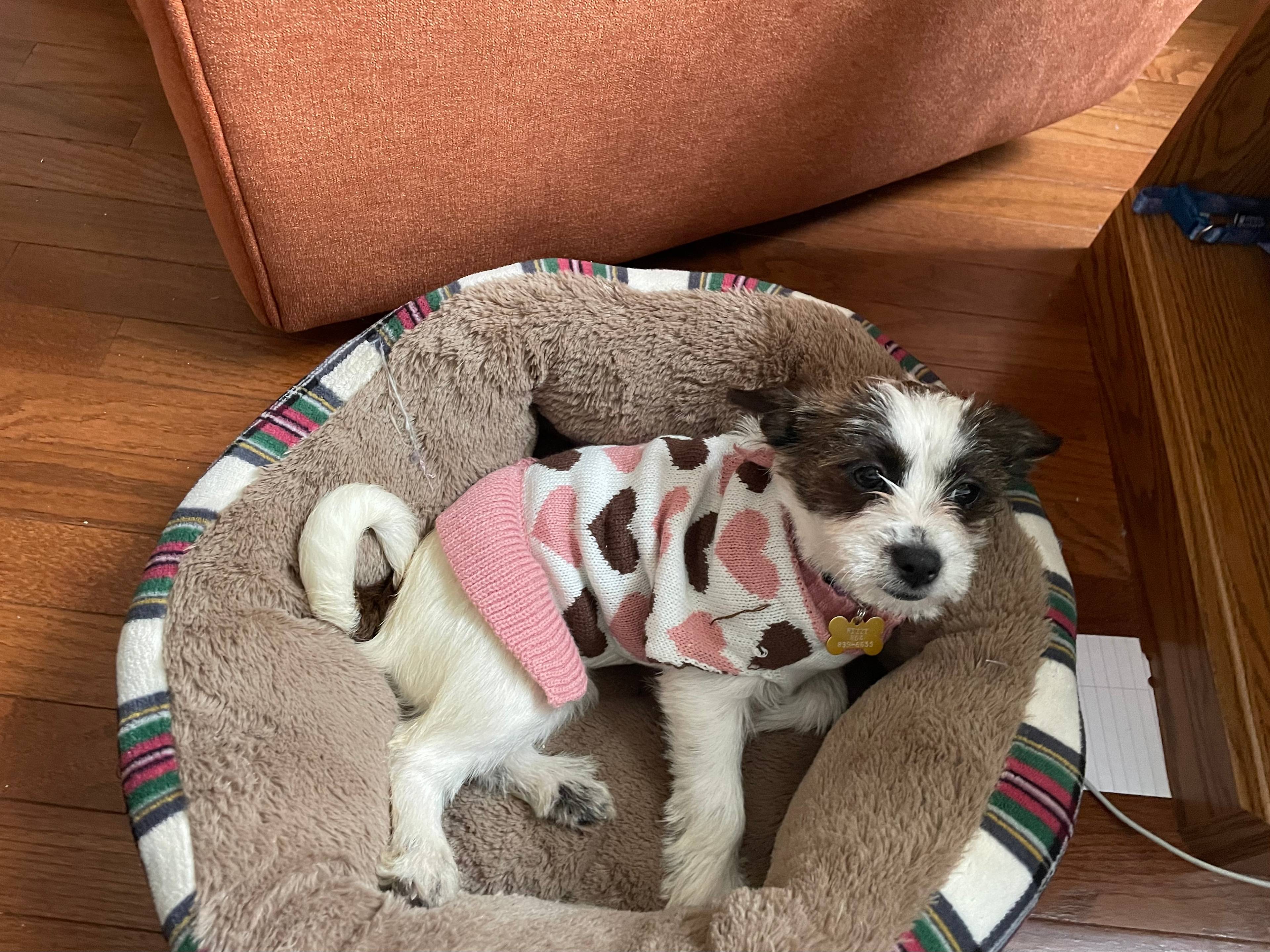 Wooded Homestead Retreat