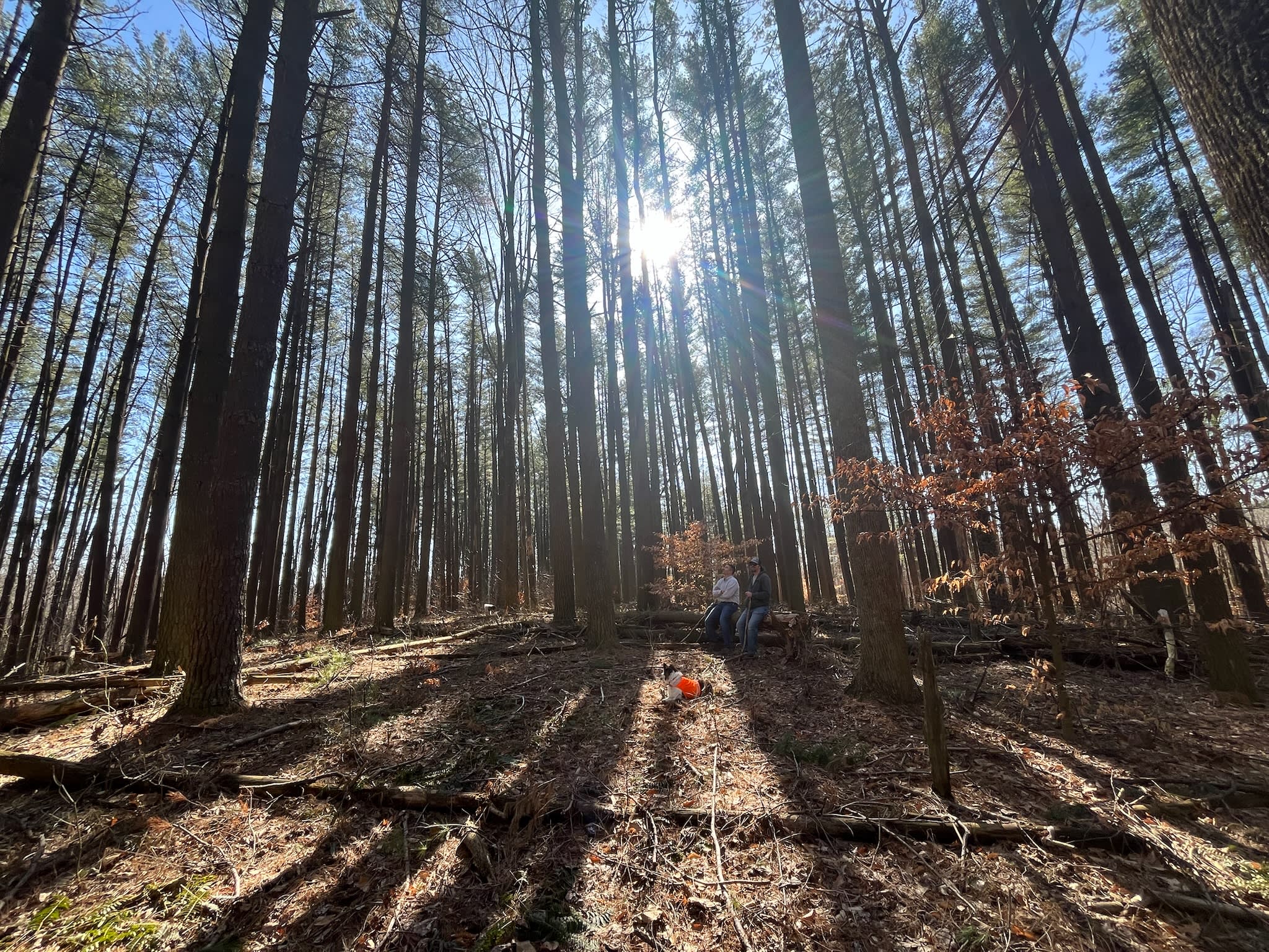 Hidden Forty at Monroe