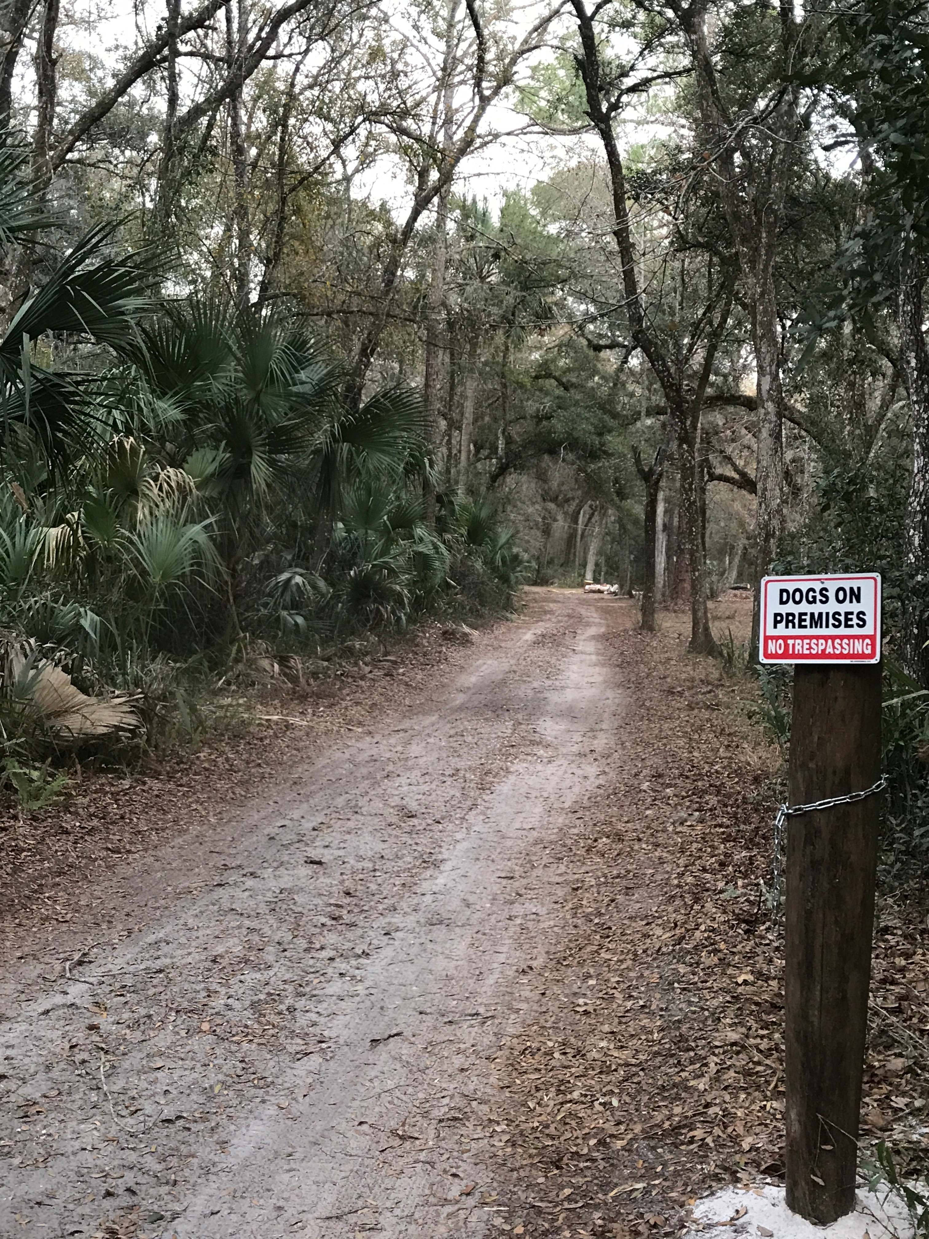 DIGITAL DETOX RV CAMPSITE