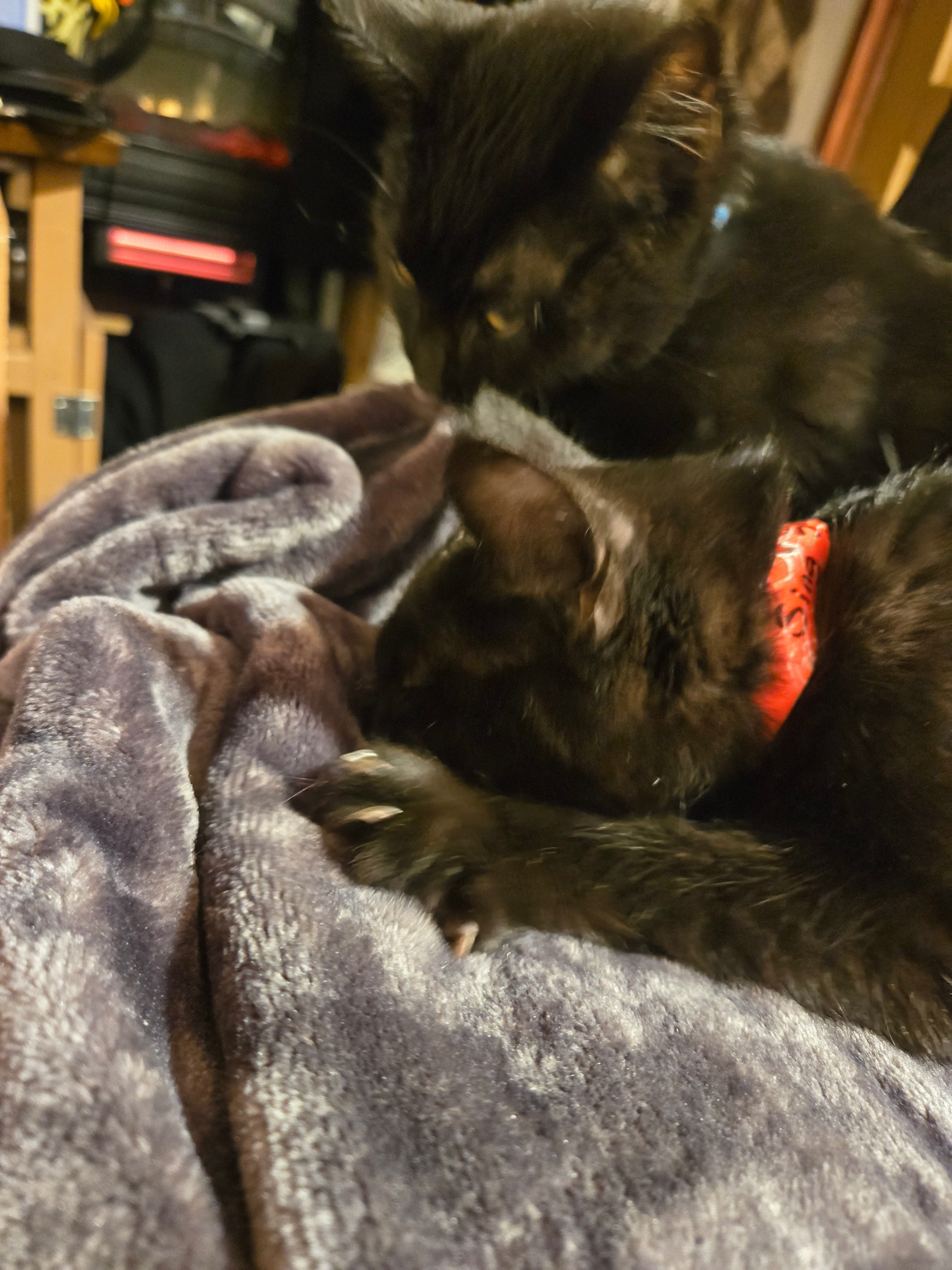 Rancho Rio Del Sol: Paso Robles, CA