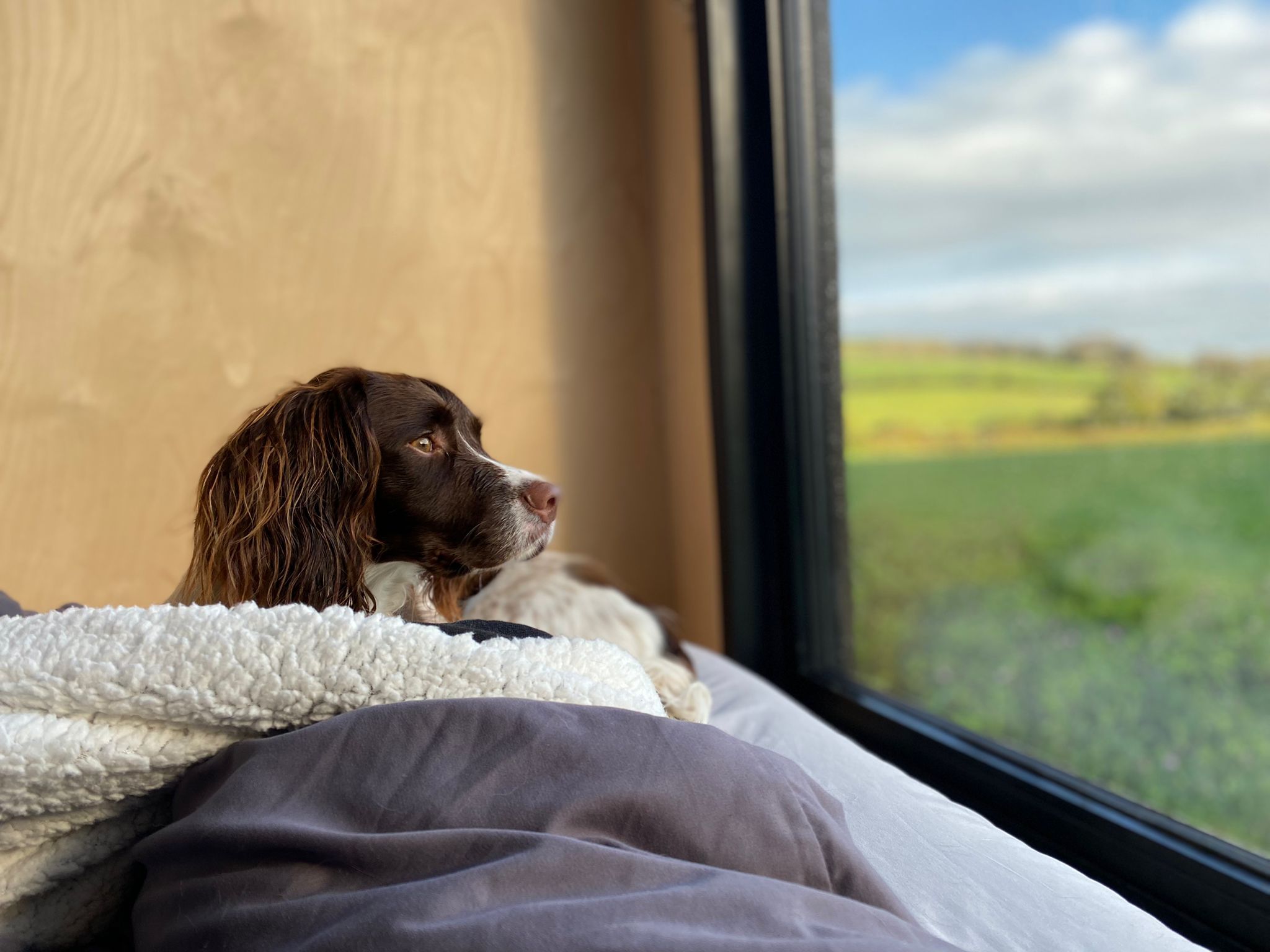 Peaceful Off-Grid Tiny Home