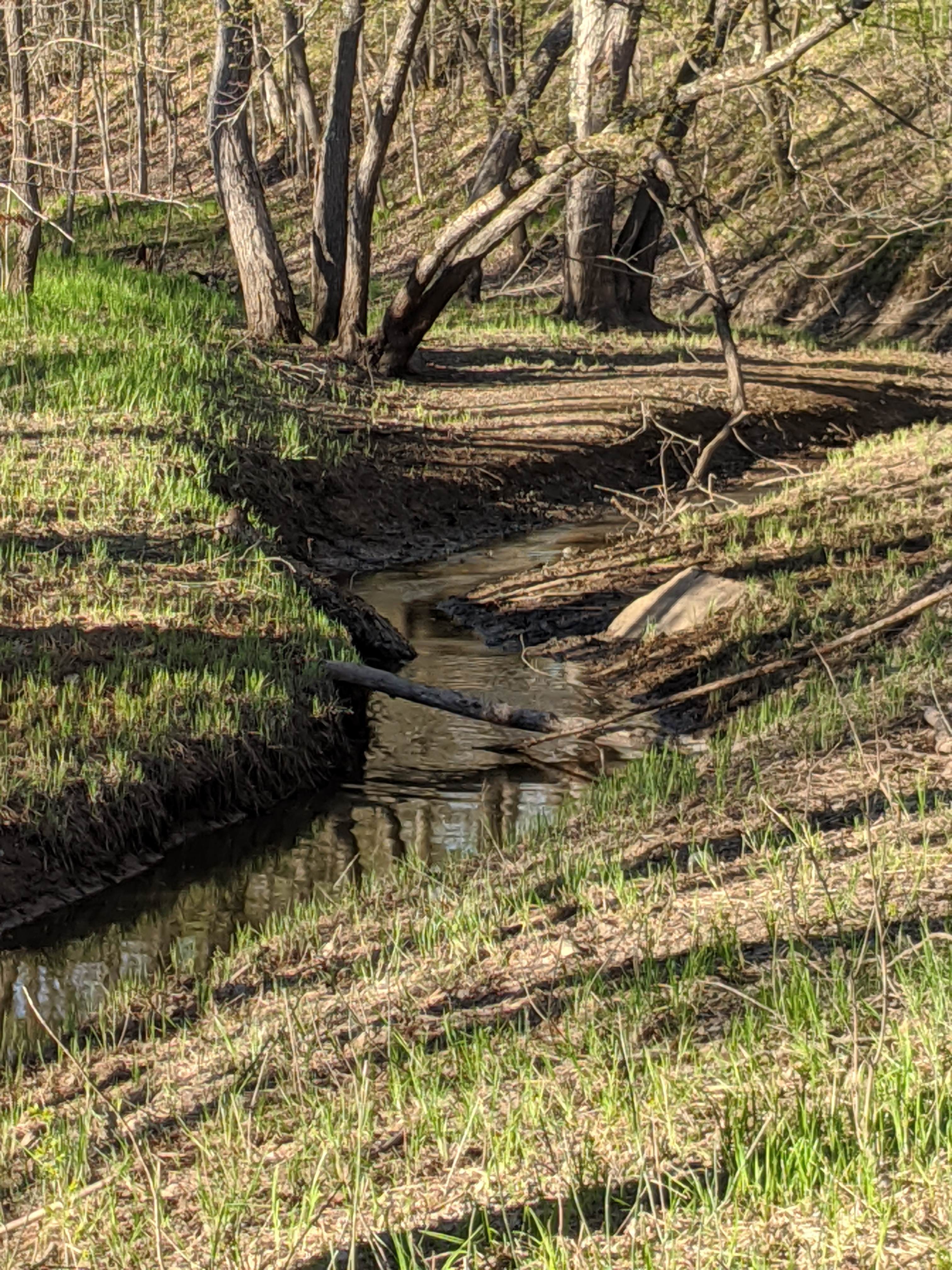 Cuyuna Crossing | Domes