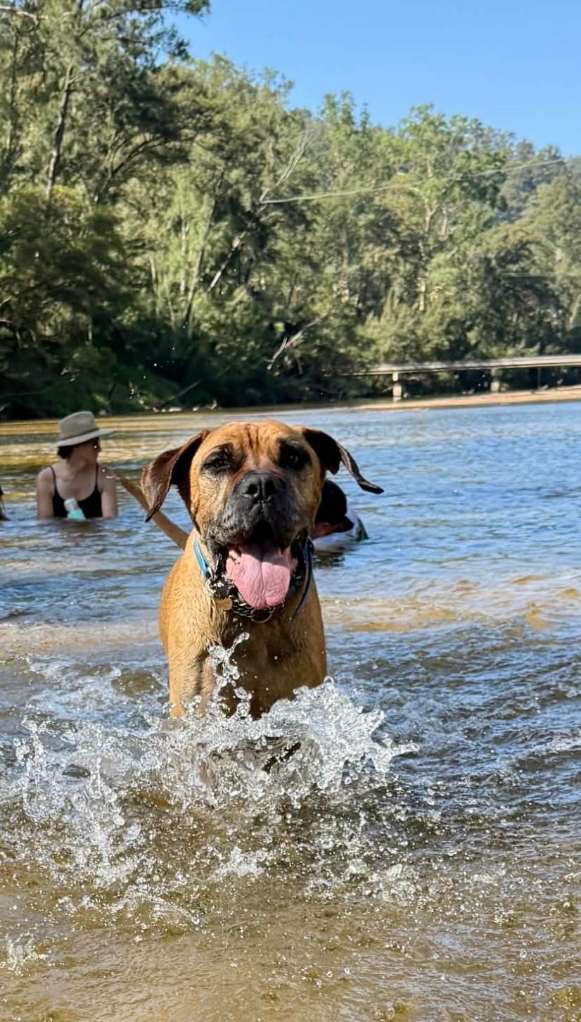 Whispering Gums Colo River Camping