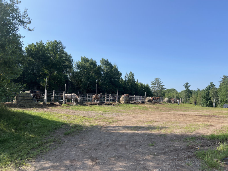 Floral & Farm Retreat