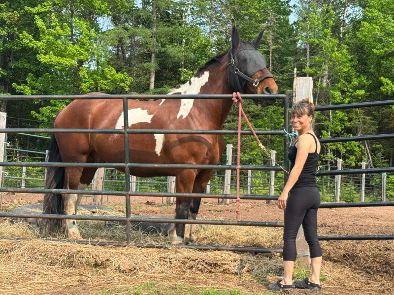 Floral & Farm Retreat