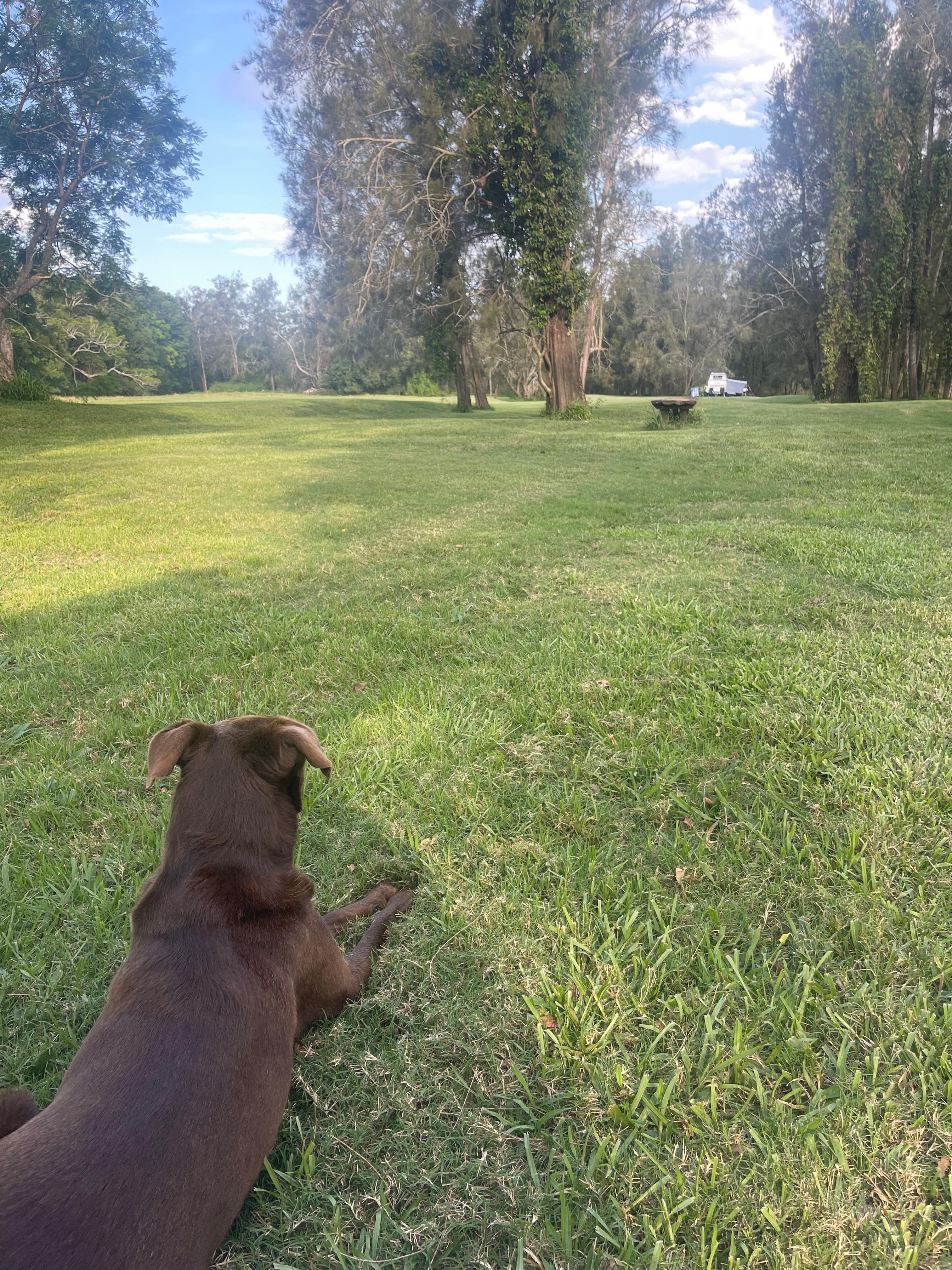 Riverlea Green,  Nambucca Valley