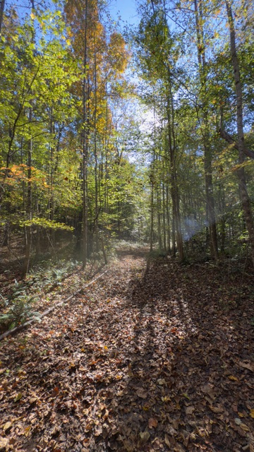 Adullam Stays - RV Sites + Suites