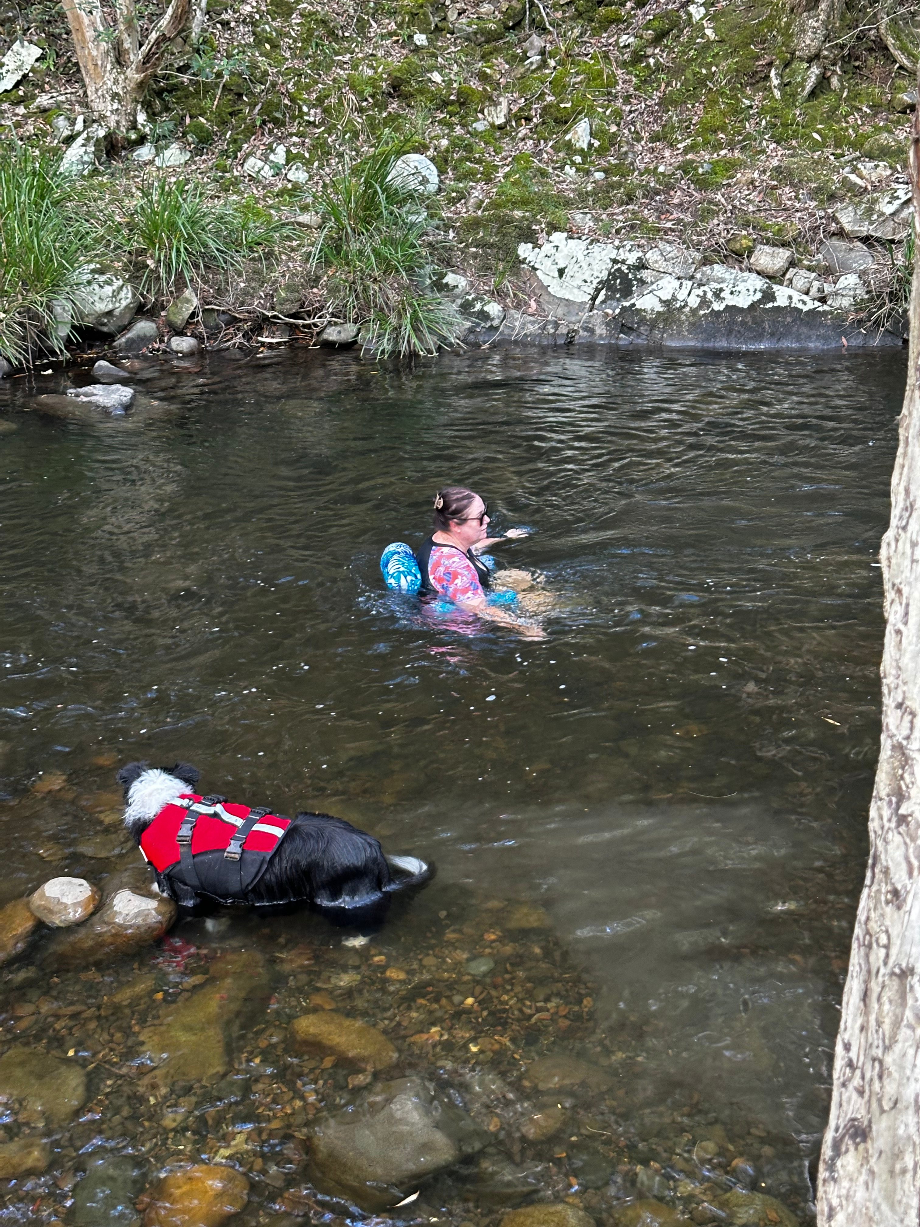 Elsewhere (Escape2Nature)