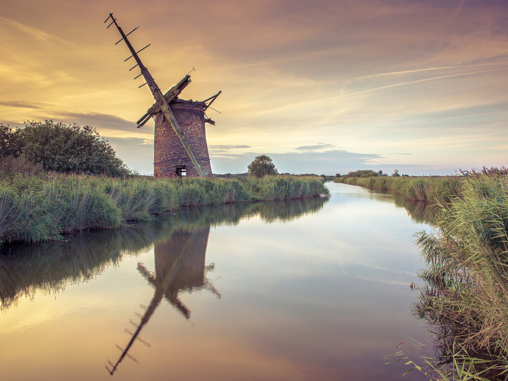 The Farm Camping at Worstead Estate