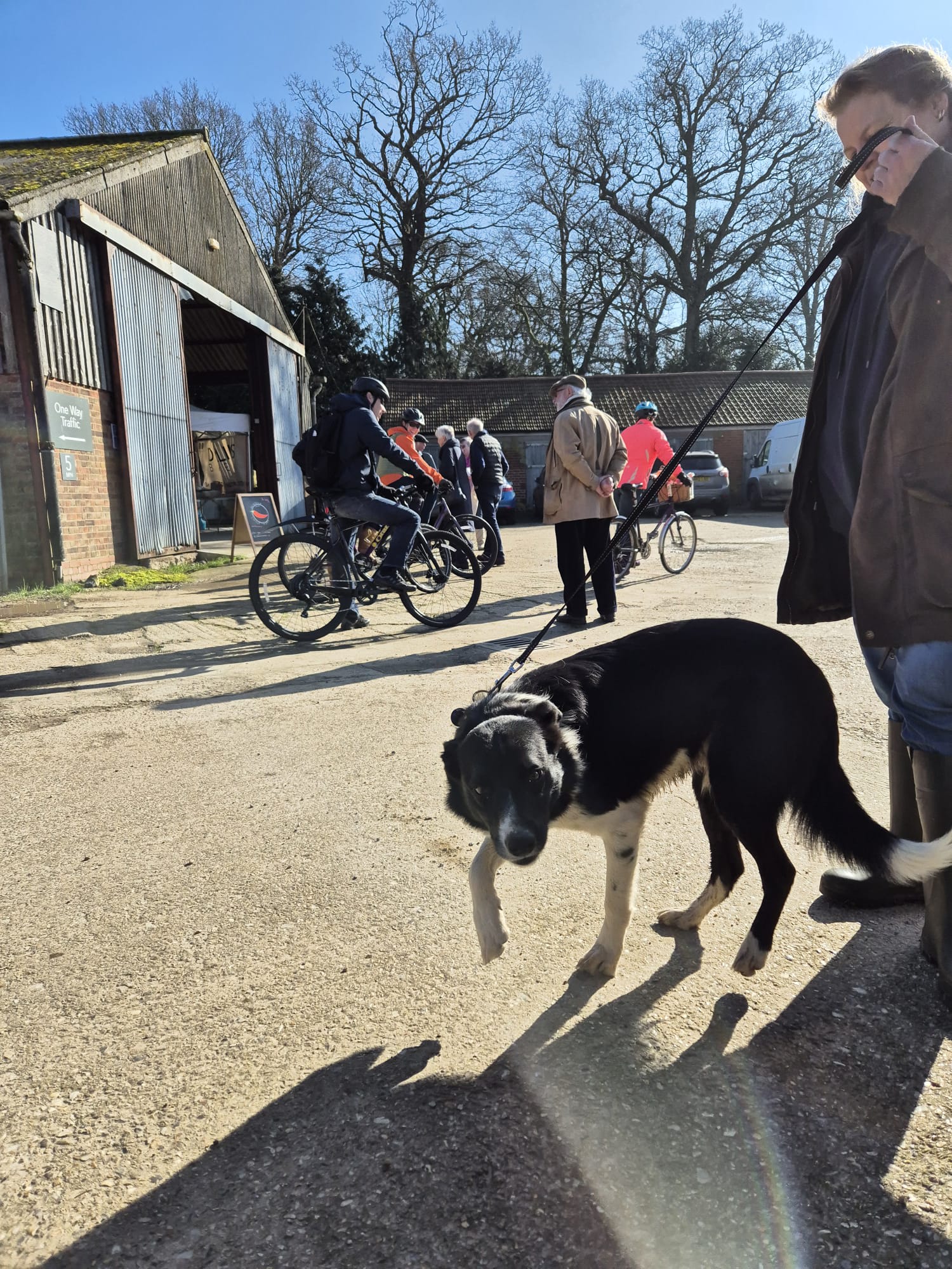 The Farm Camping at Worstead Estate