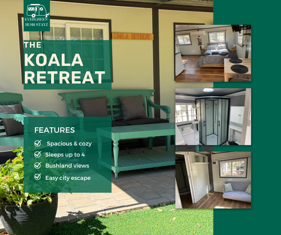 Evergreen Bush Stayz