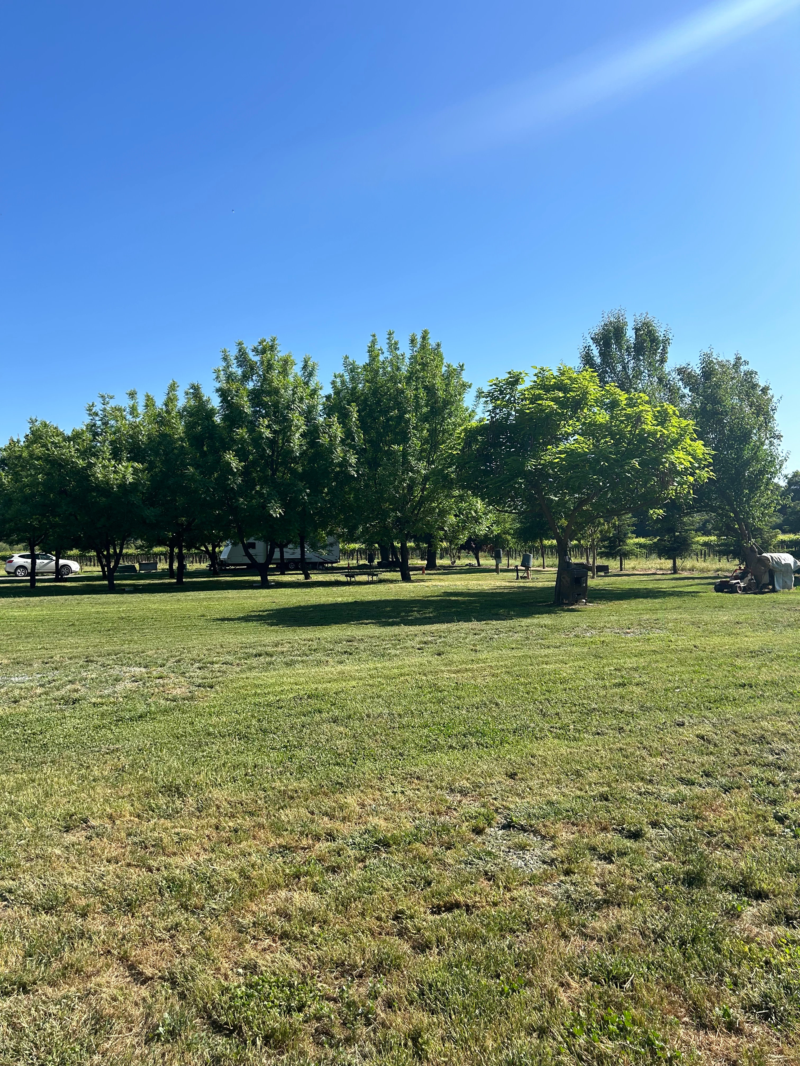 Hy View Ranch & Camp