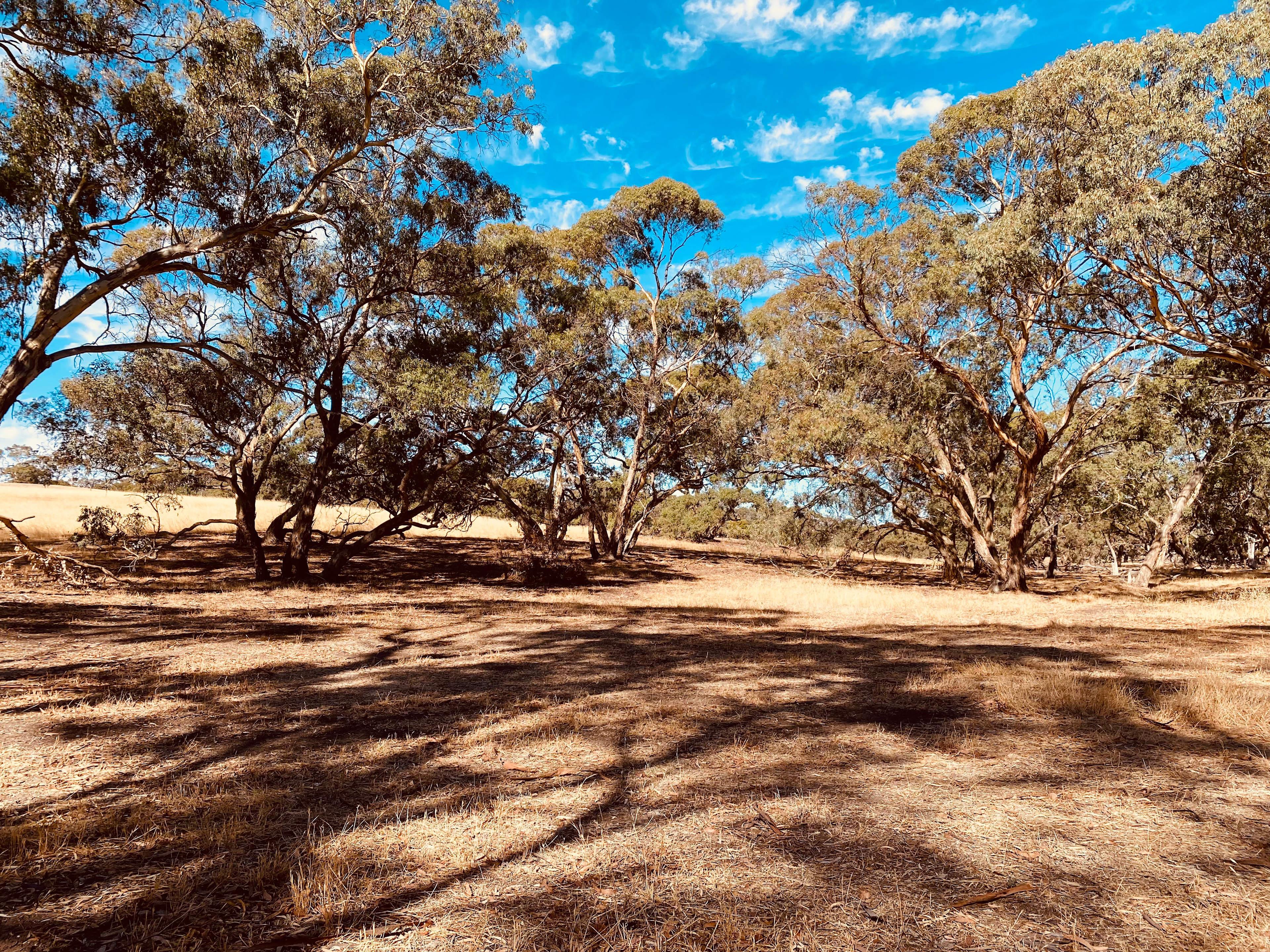 Avondale Heights Campground