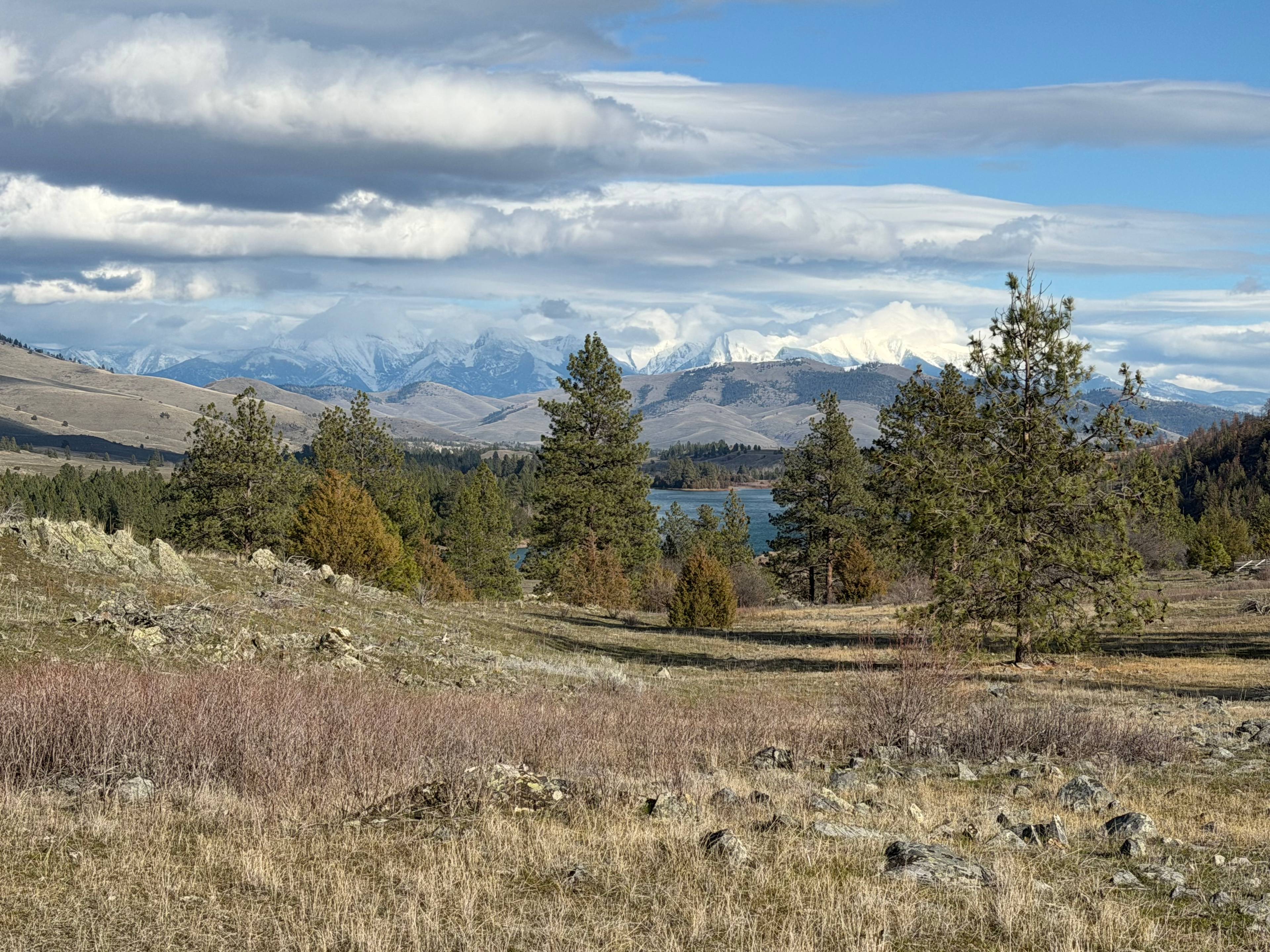 Watchdog Winery Highland Camp