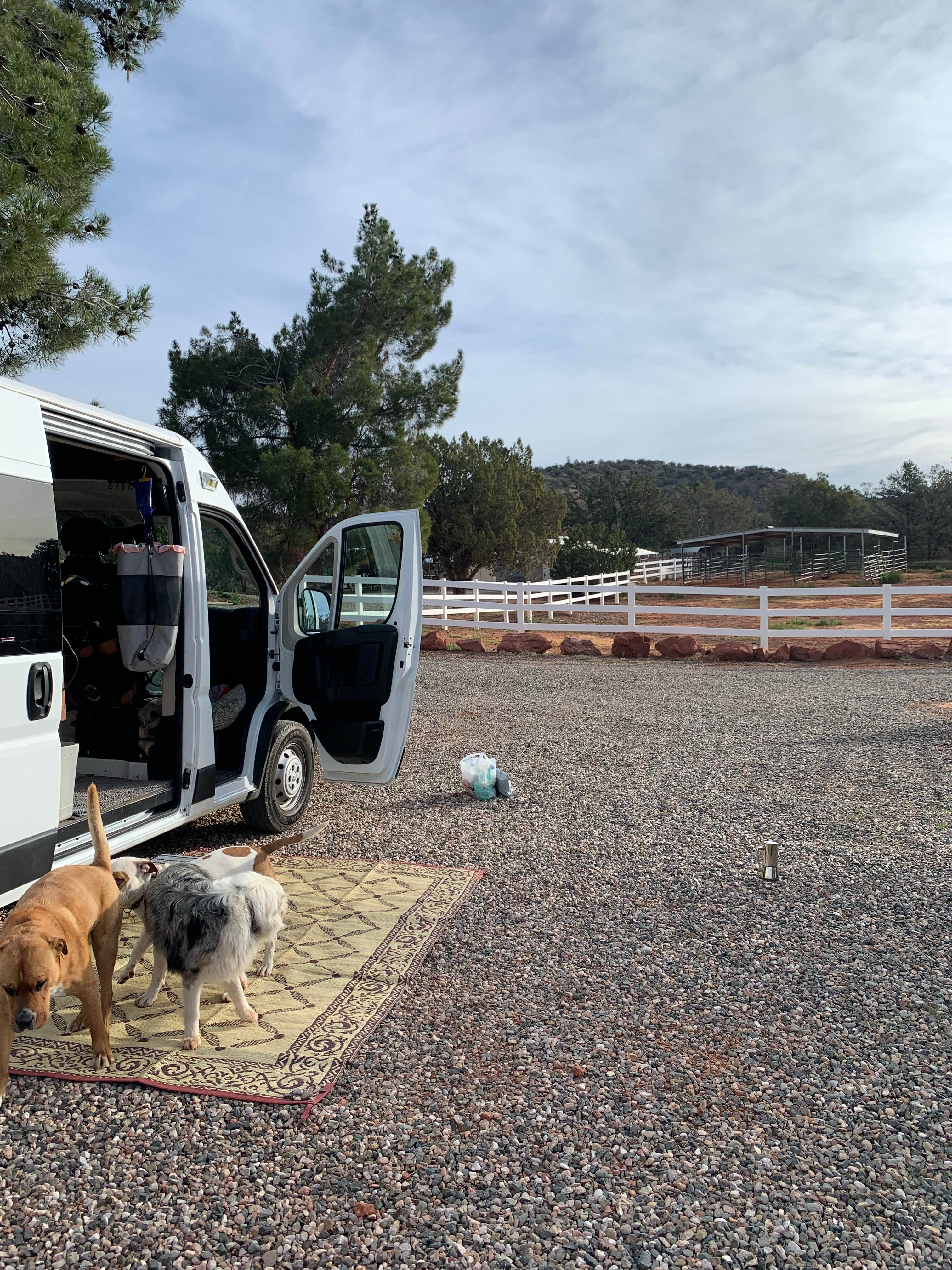Red Rock Camp Horses Welcome