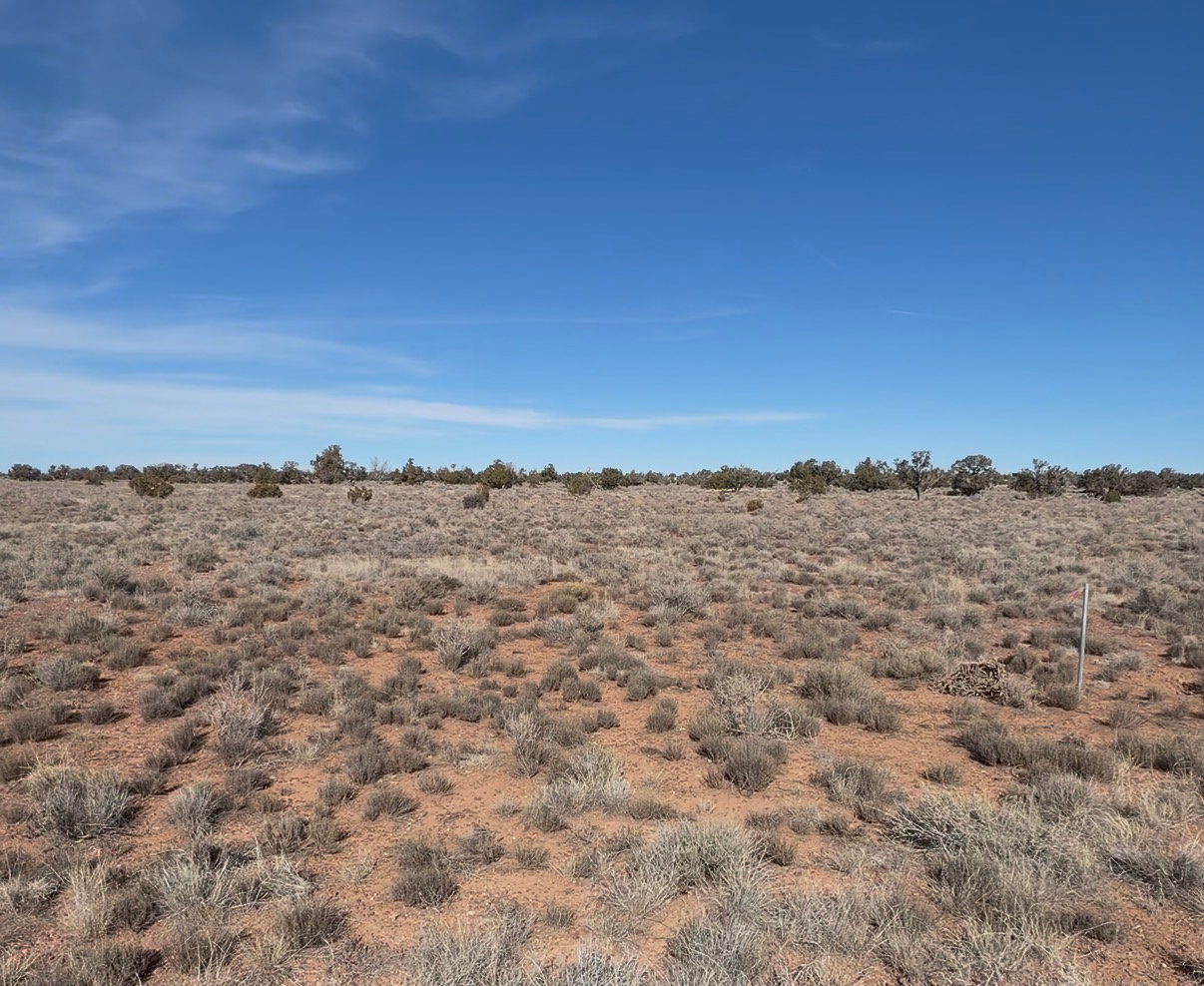 Star Canyon Campsite
