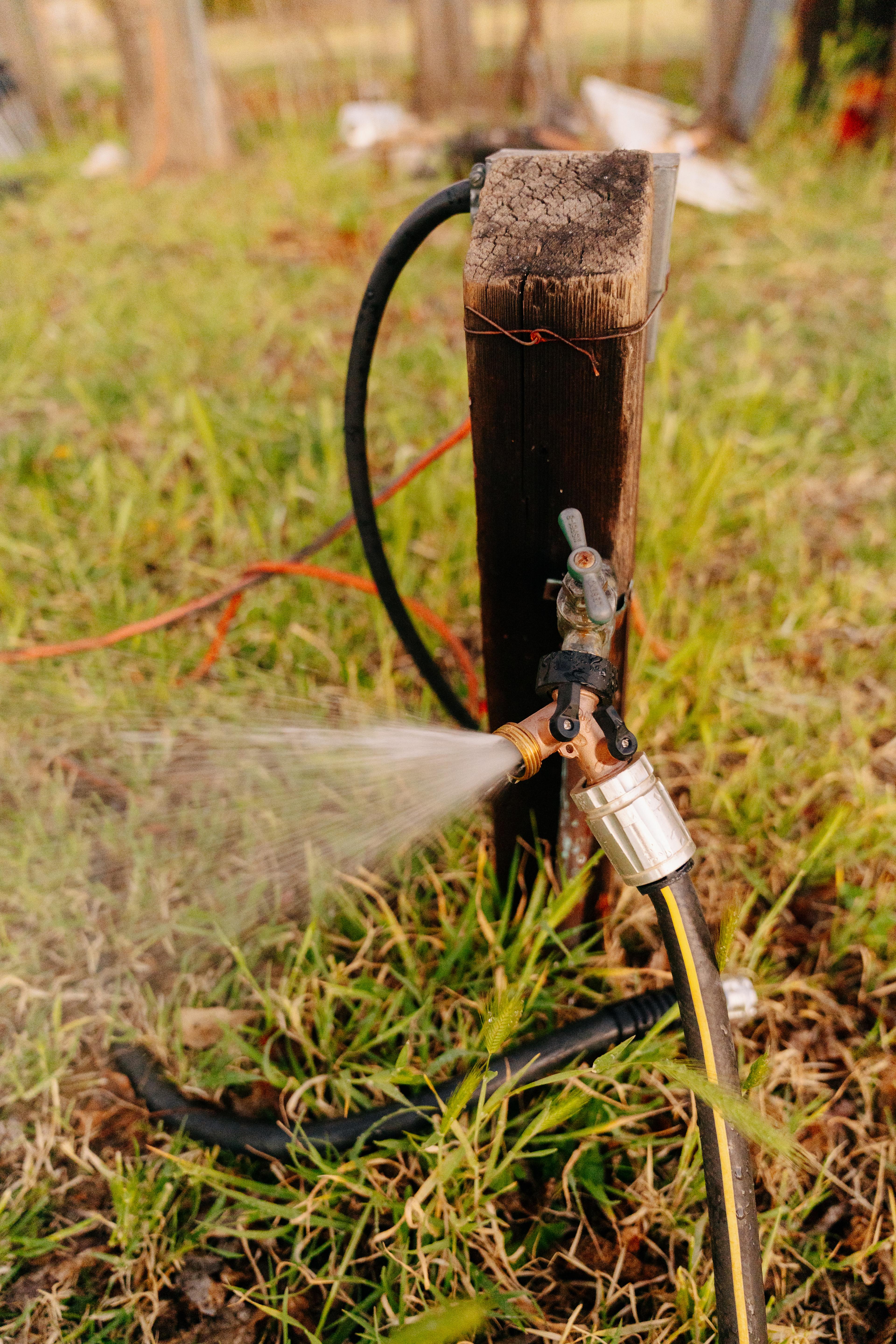 Tent Camp at Tuck & Bird Ranch