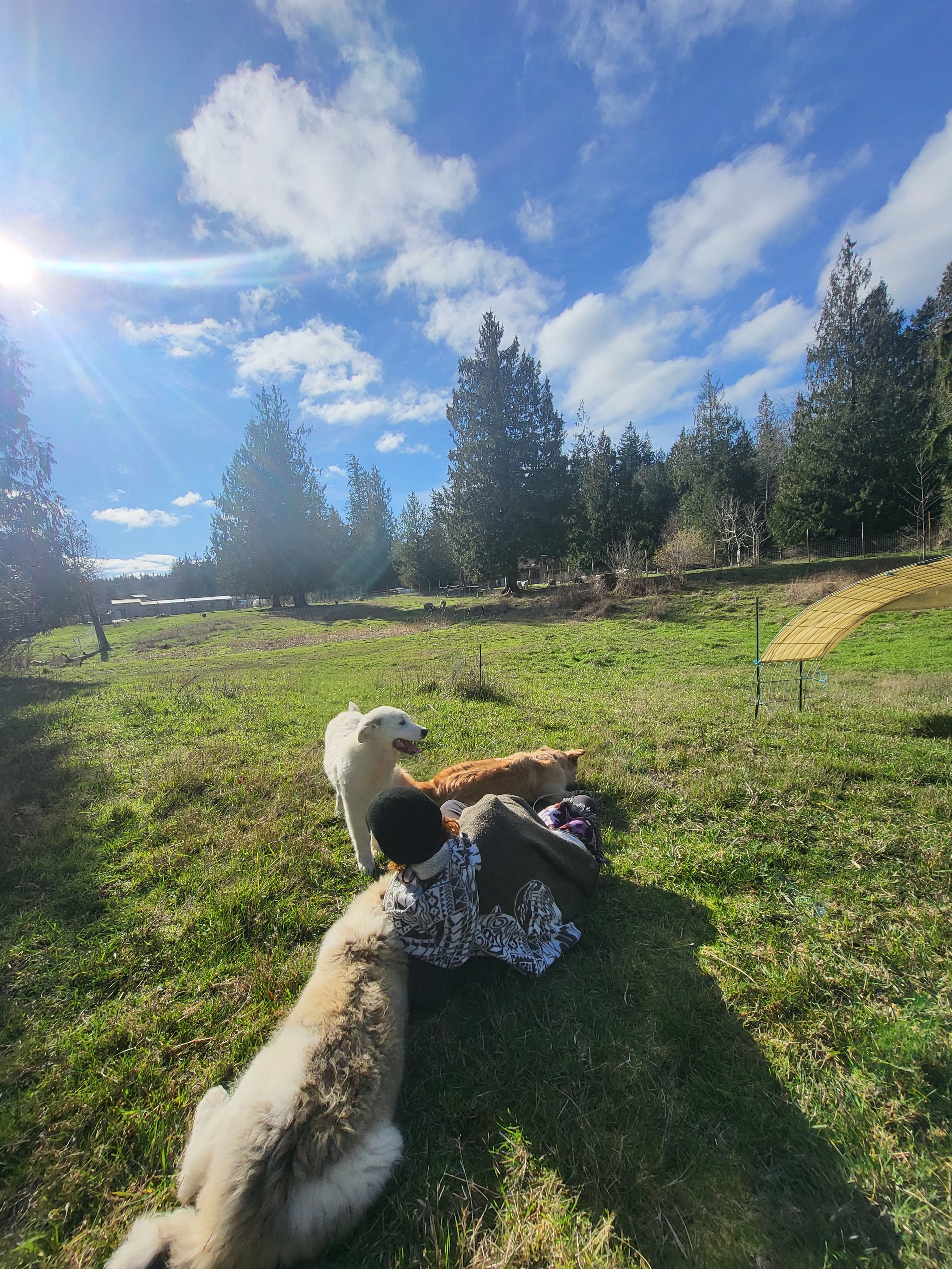 The Back Four at Dun Tun