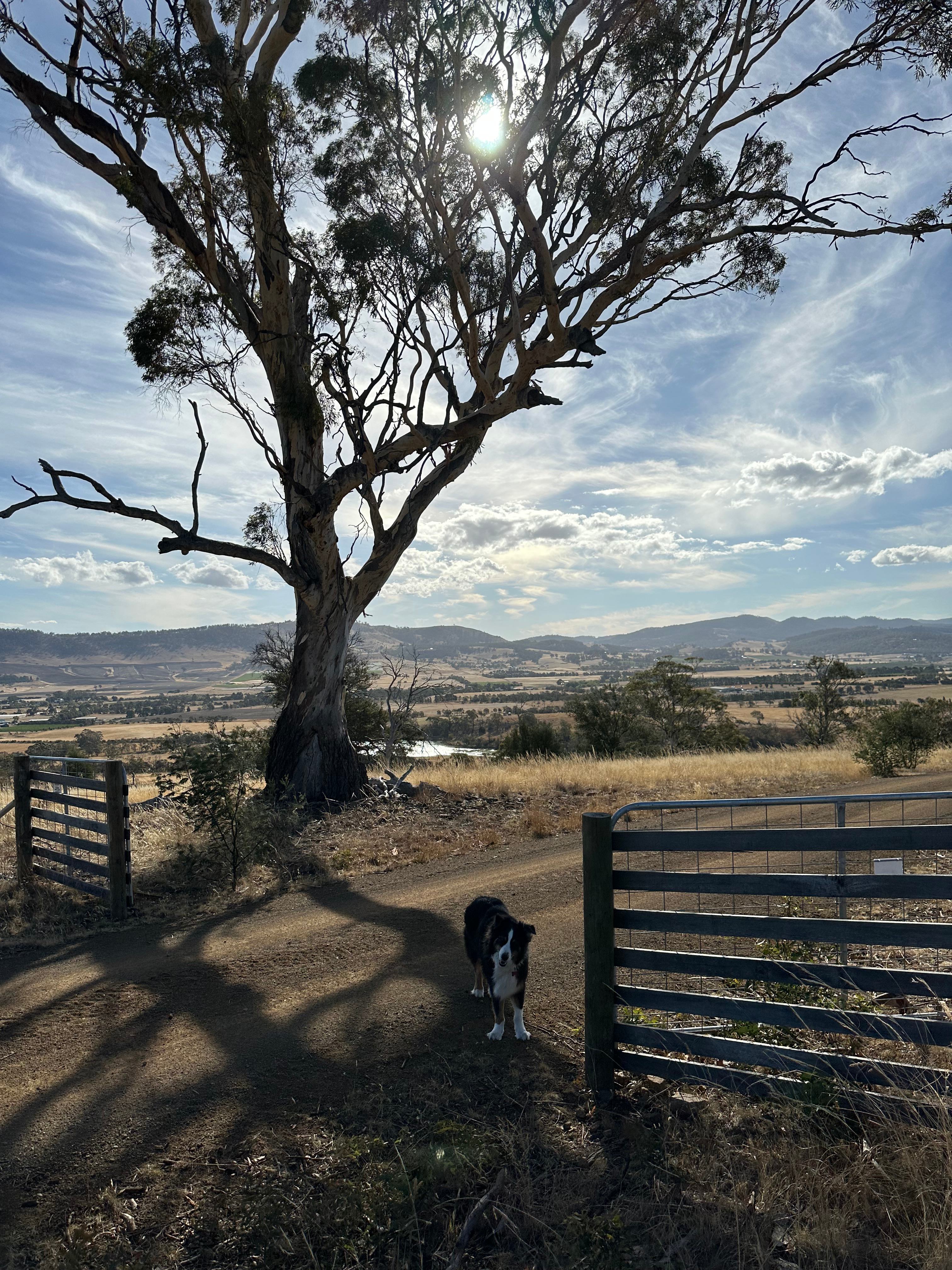 Prossers Ridge Richmond