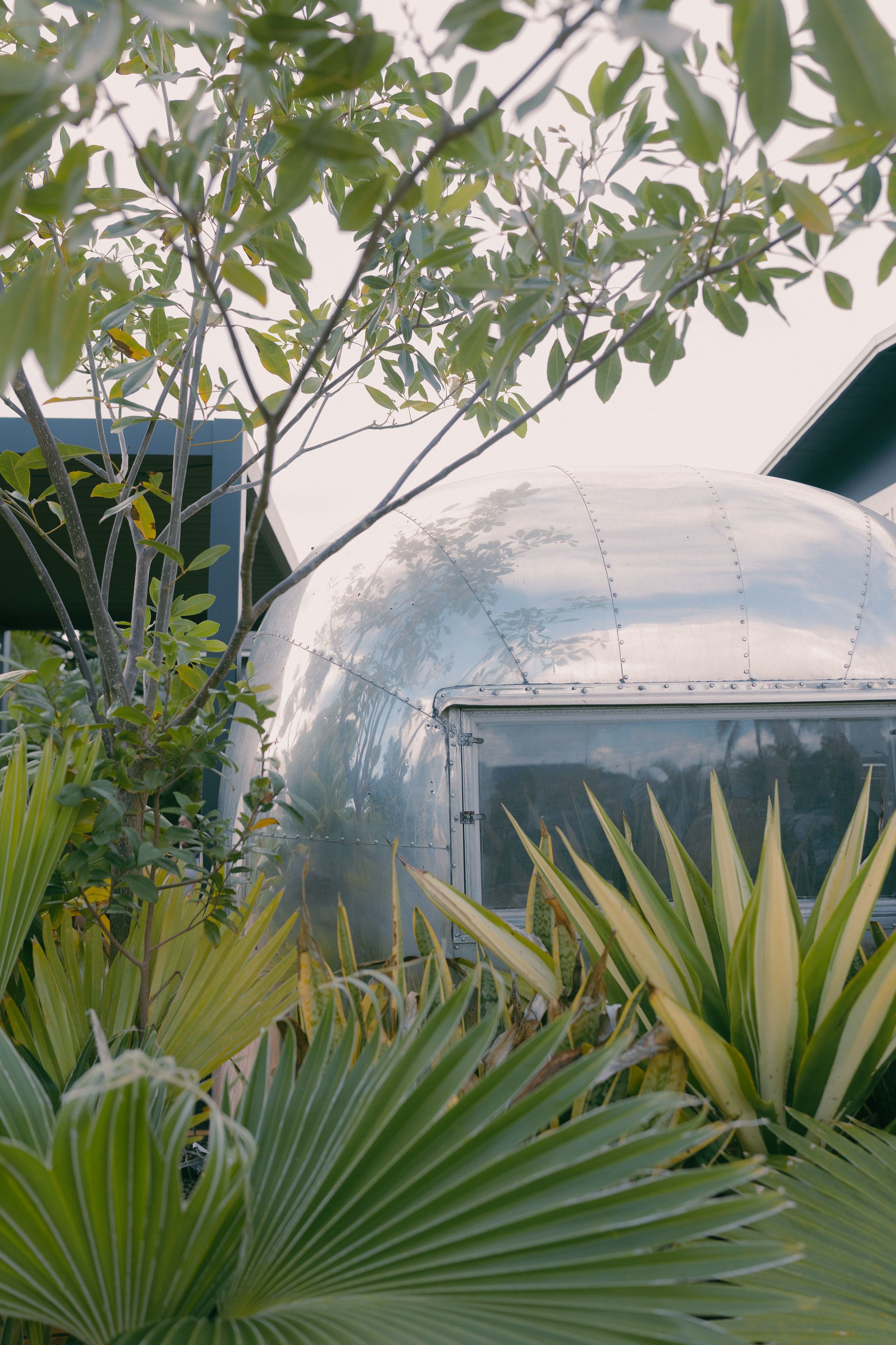 The Lawn on the South Shore