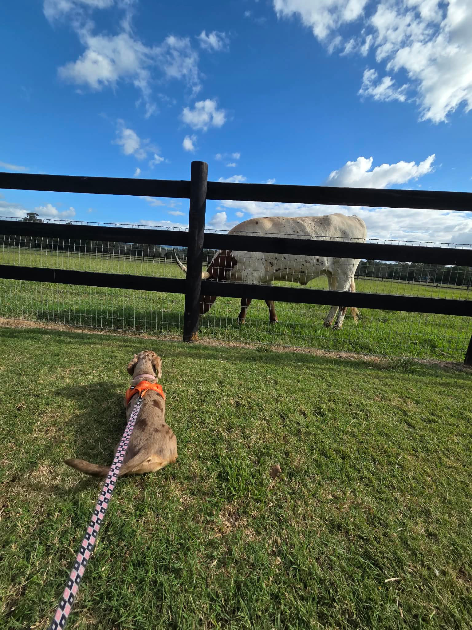 Rathdowney Memorial Grounds Powered