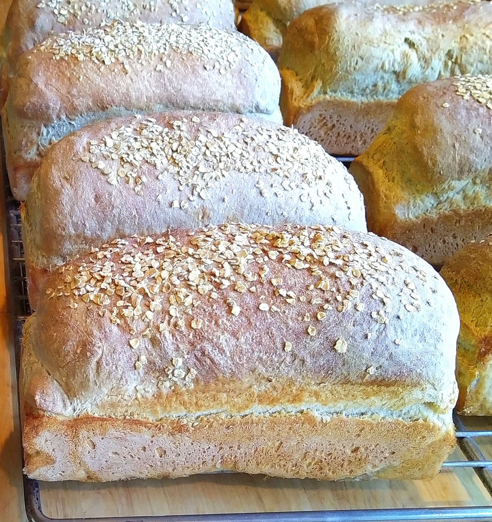 Mega Vistas Mountain Get away